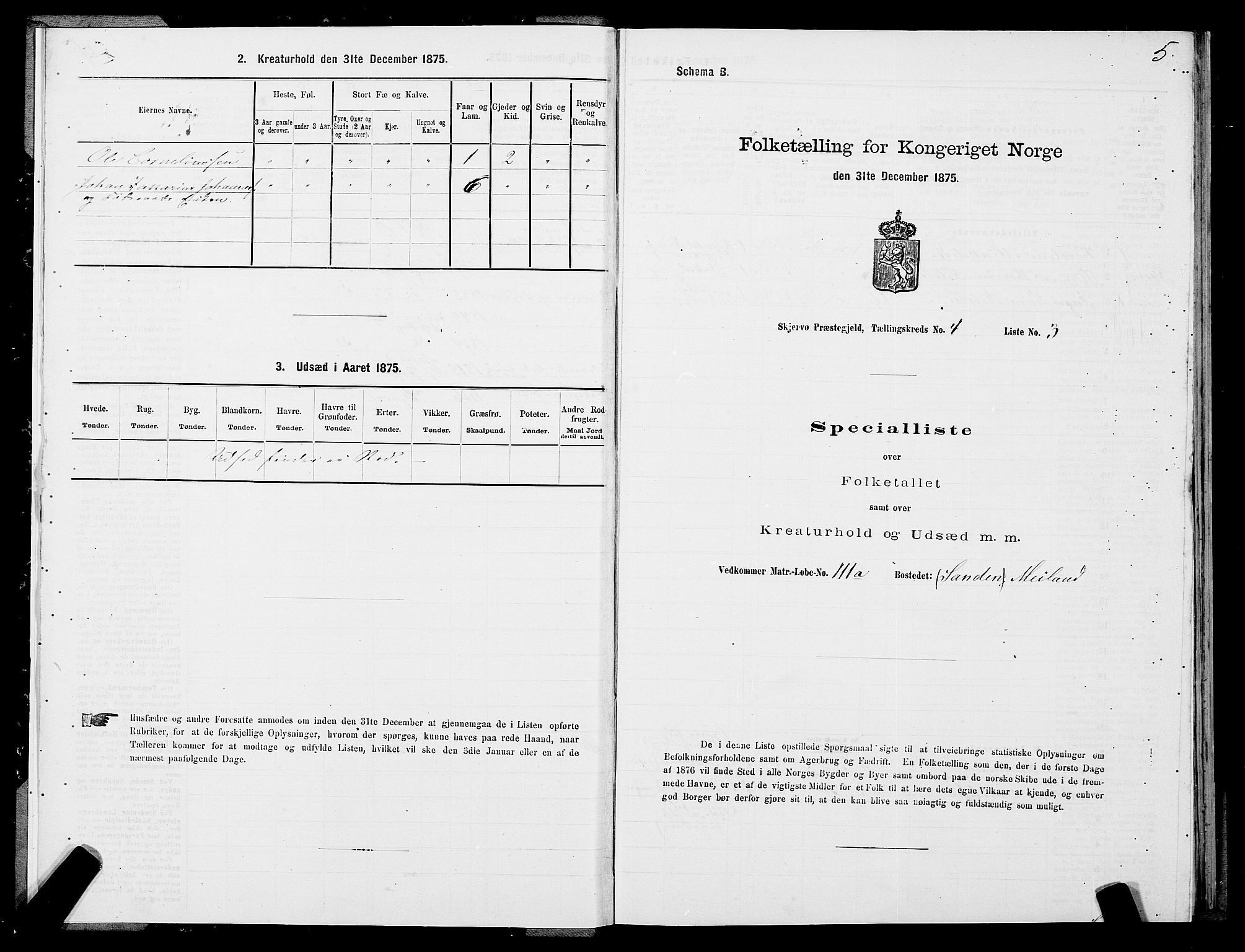 SATØ, Folketelling 1875 for 1941P Skjervøy prestegjeld, 1875, s. 3005