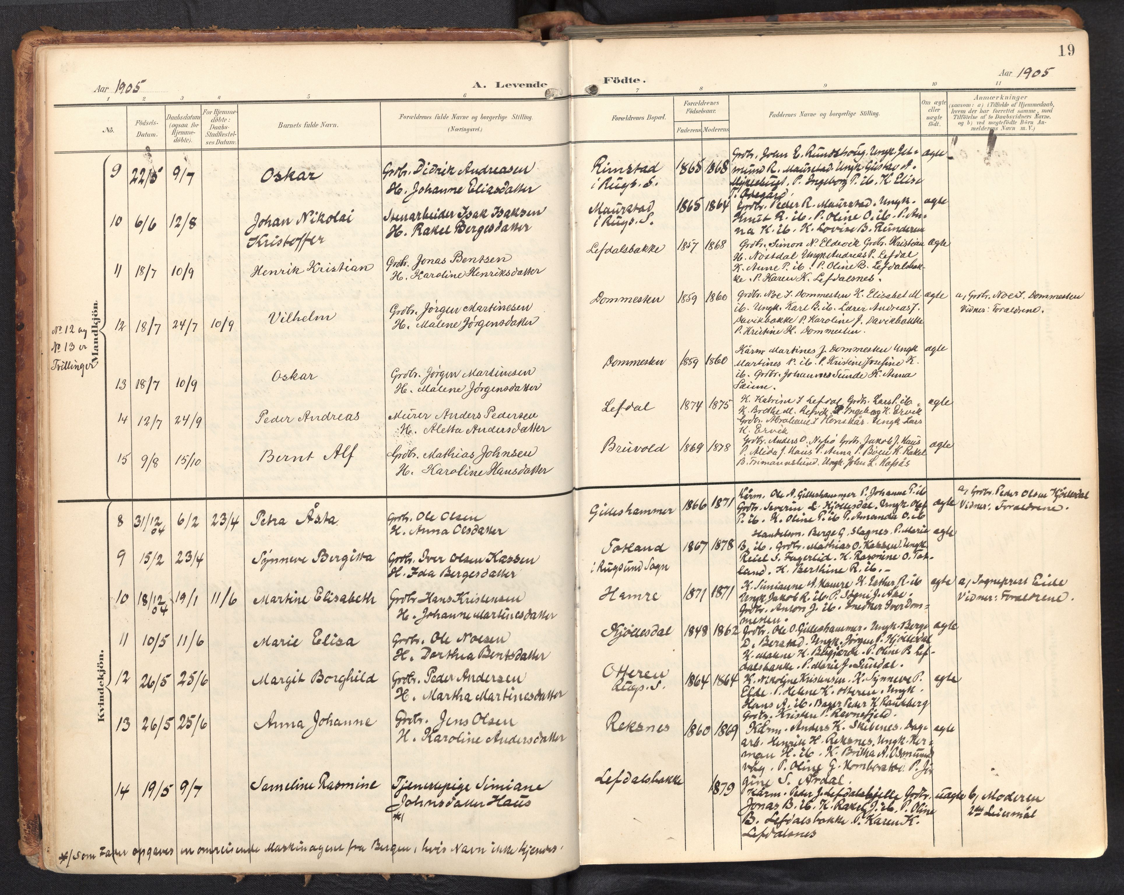 Davik sokneprestembete, AV/SAB-A-79701/H/Haa/Haab/L0002: Ministerialbok nr. B 2, 1901-1934, s. 19