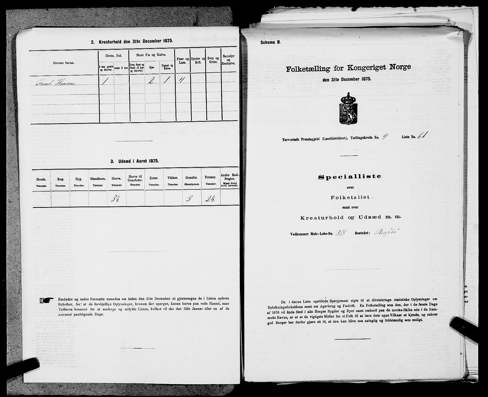 SAST, Folketelling 1875 for 1152L Torvastad prestegjeld, Torvastad sokn, Skåre sokn og Utsira sokn, 1875, s. 1241