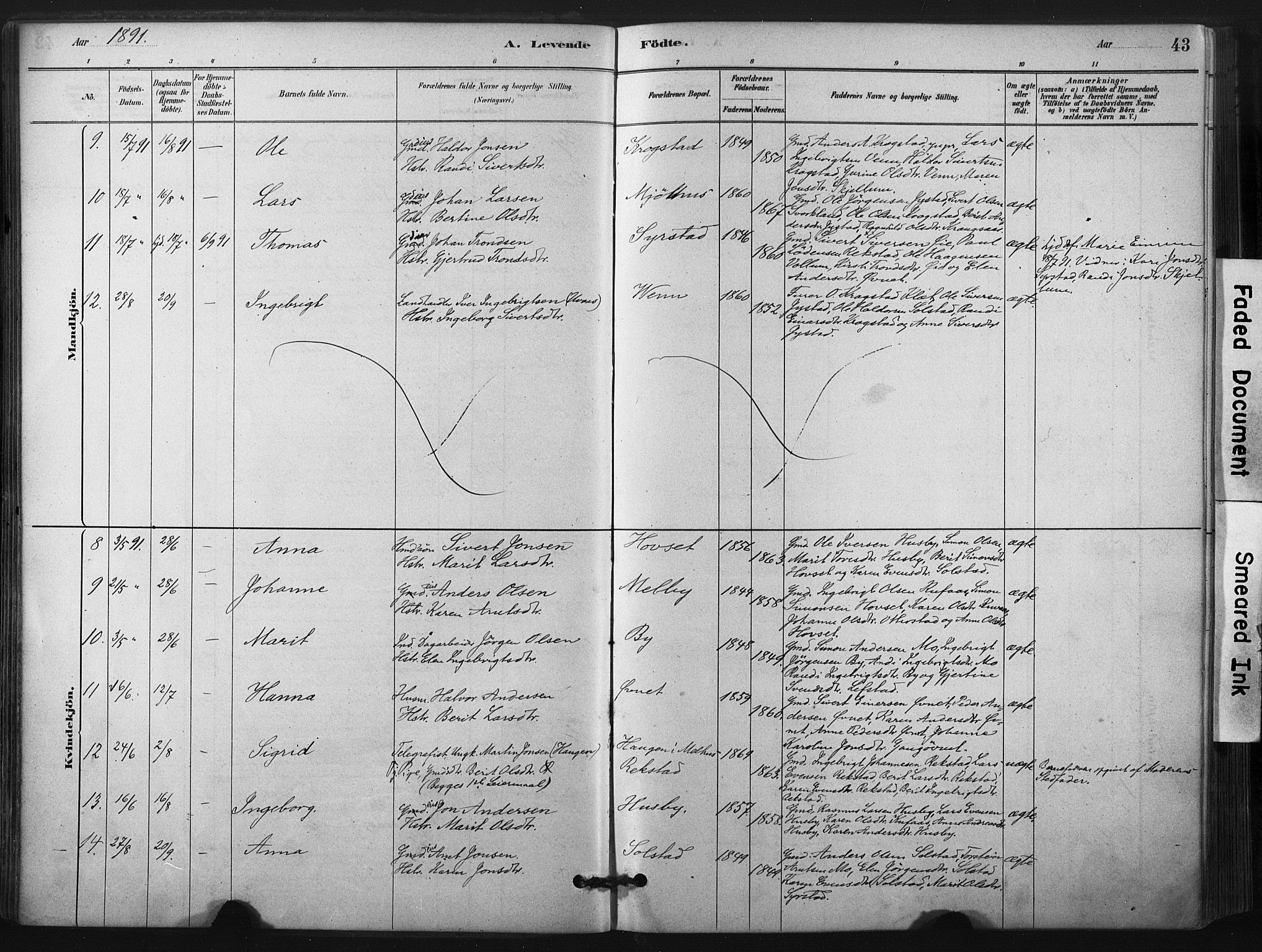 Ministerialprotokoller, klokkerbøker og fødselsregistre - Sør-Trøndelag, SAT/A-1456/667/L0795: Ministerialbok nr. 667A03, 1879-1907, s. 43