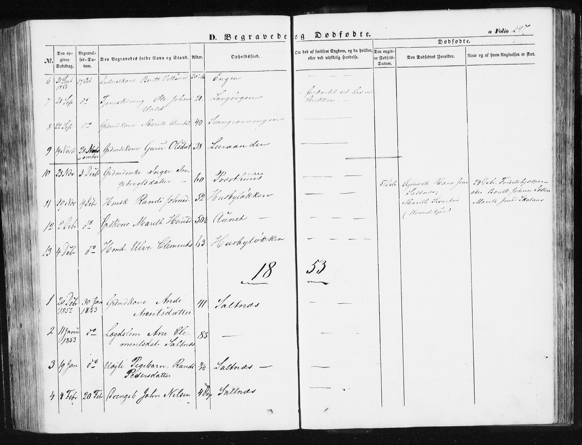 Ministerialprotokoller, klokkerbøker og fødselsregistre - Sør-Trøndelag, SAT/A-1456/612/L0376: Ministerialbok nr. 612A08, 1846-1859, s. 247
