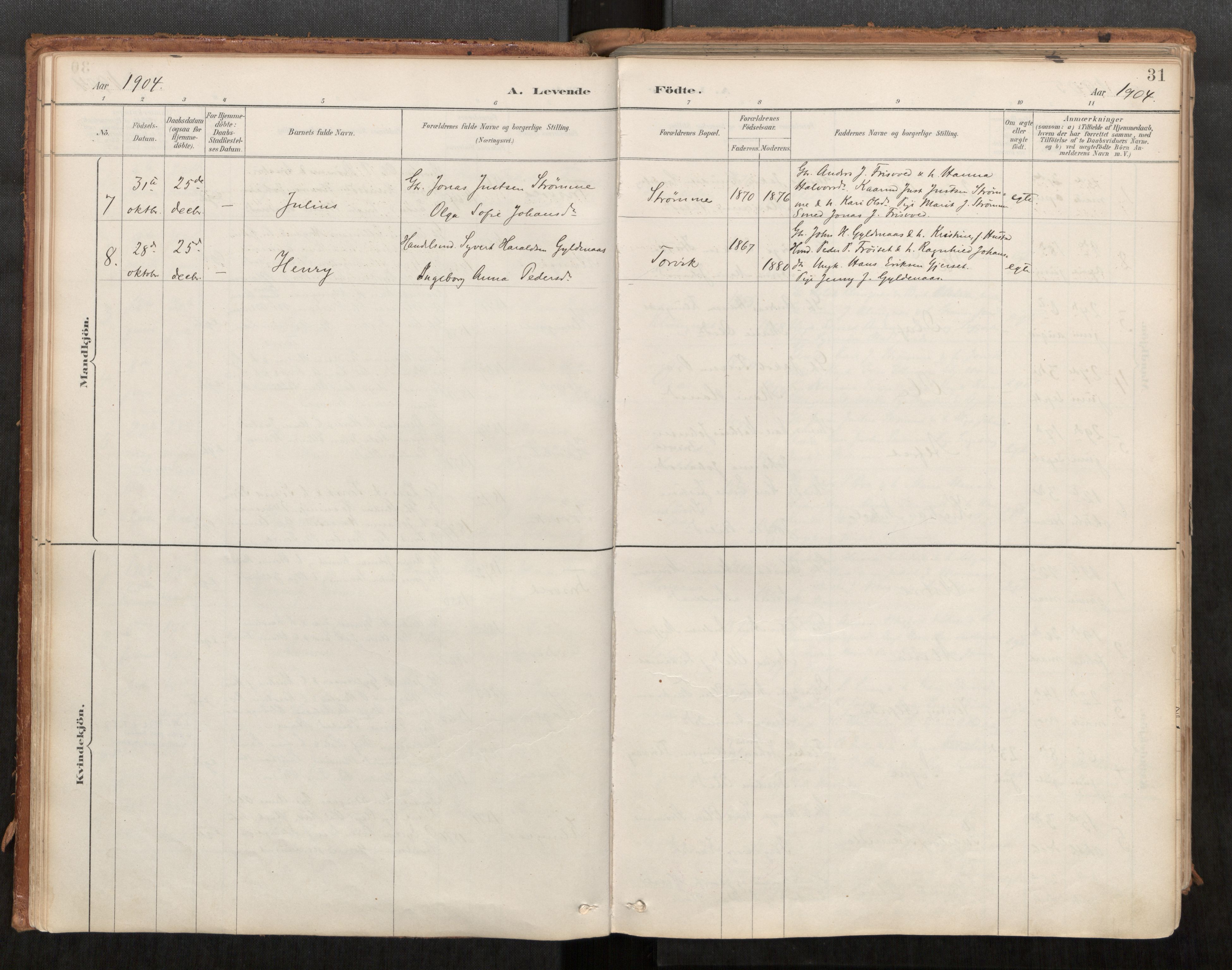 Ministerialprotokoller, klokkerbøker og fødselsregistre - Møre og Romsdal, AV/SAT-A-1454/542/L0553: Ministerialbok nr. 542A03, 1885-1925, s. 31