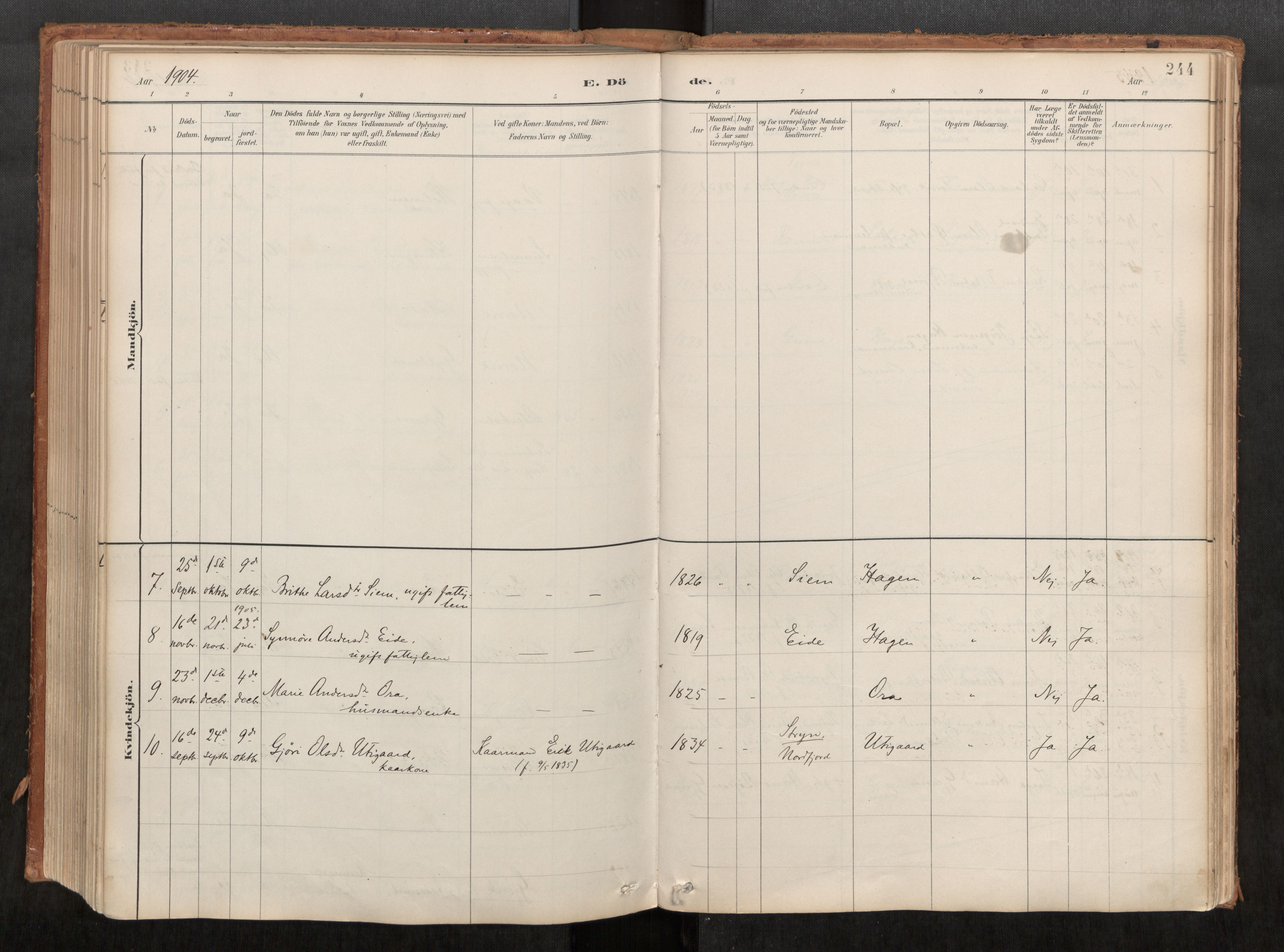 Ministerialprotokoller, klokkerbøker og fødselsregistre - Møre og Romsdal, AV/SAT-A-1454/542/L0553: Ministerialbok nr. 542A03, 1885-1925, s. 244