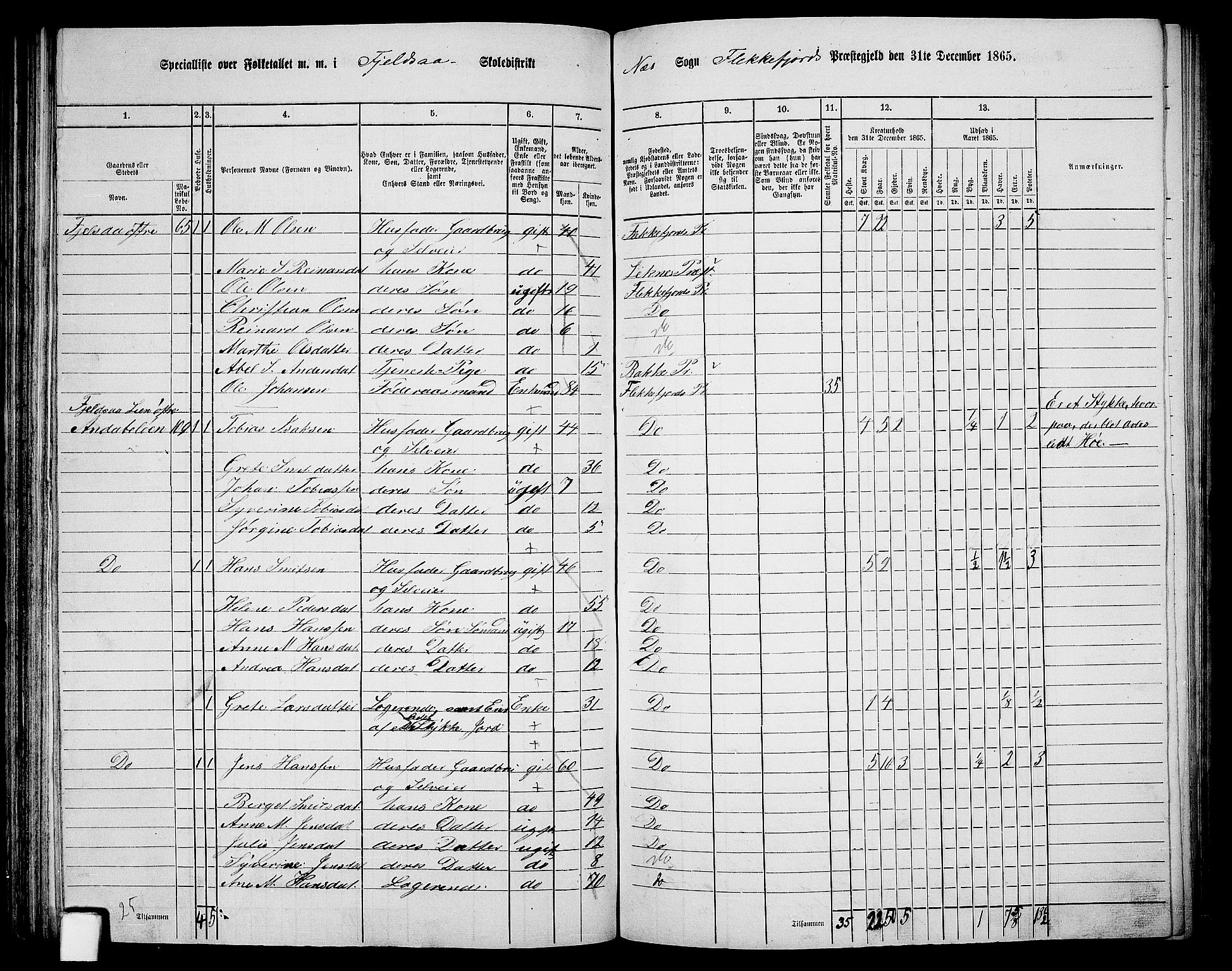 RA, Folketelling 1865 for 1042L Flekkefjord prestegjeld, Nes sokn og Hidra sokn, 1865, s. 96