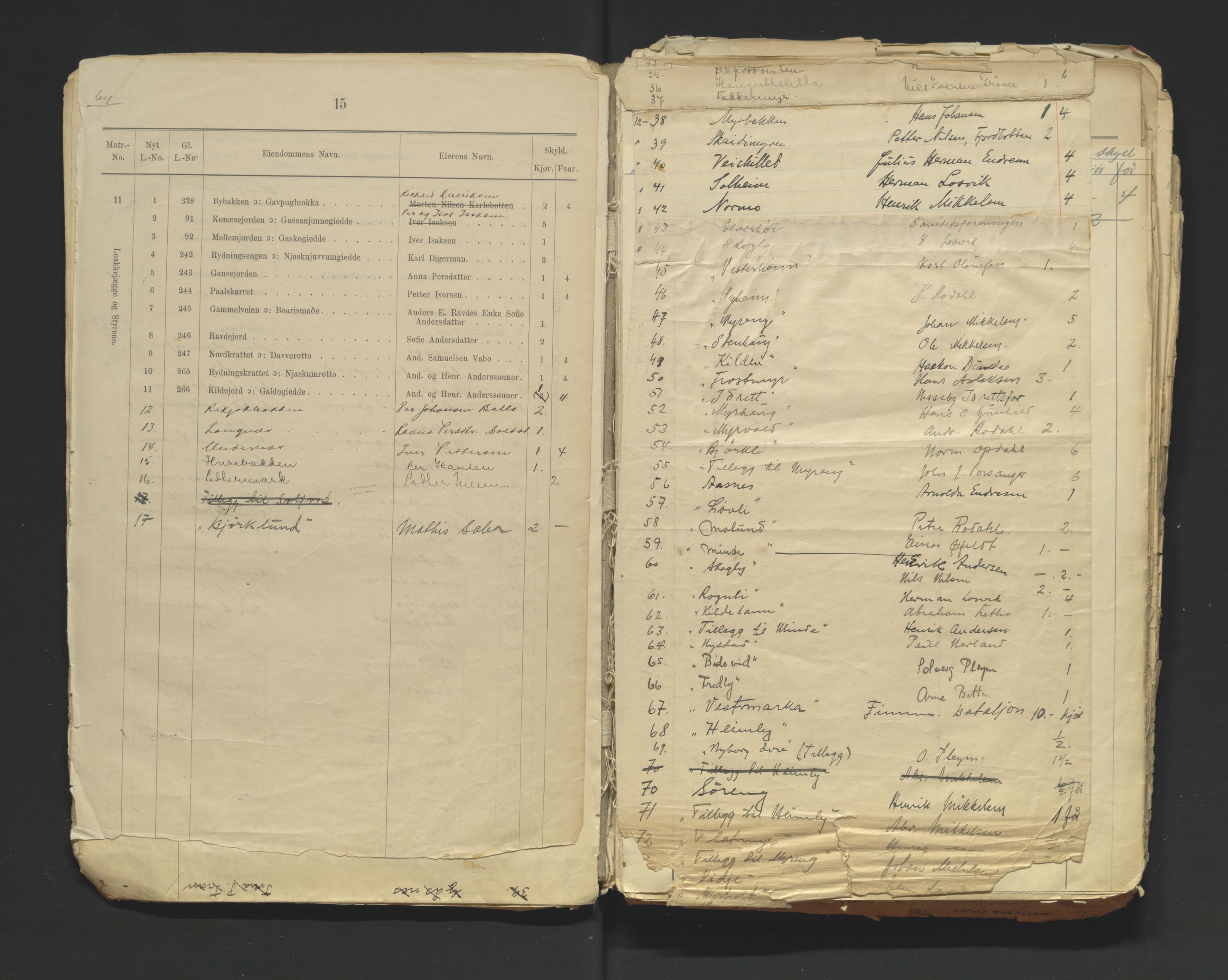 Tana fogderi/sorenskriveri, AV/SATØ-S-0058/I/Ip/L0254/0001: -- / Annet om tinglysing. Matrikkel, Tana sorenskriveri., 1884, s. 15