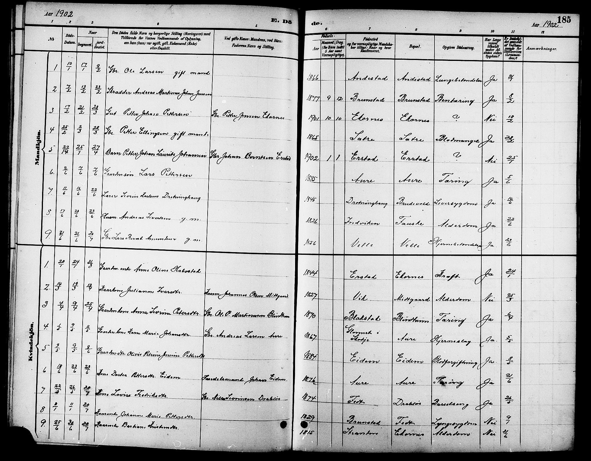 Ministerialprotokoller, klokkerbøker og fødselsregistre - Møre og Romsdal, SAT/A-1454/523/L0340: Klokkerbok nr. 523C03, 1892-1902, s. 185