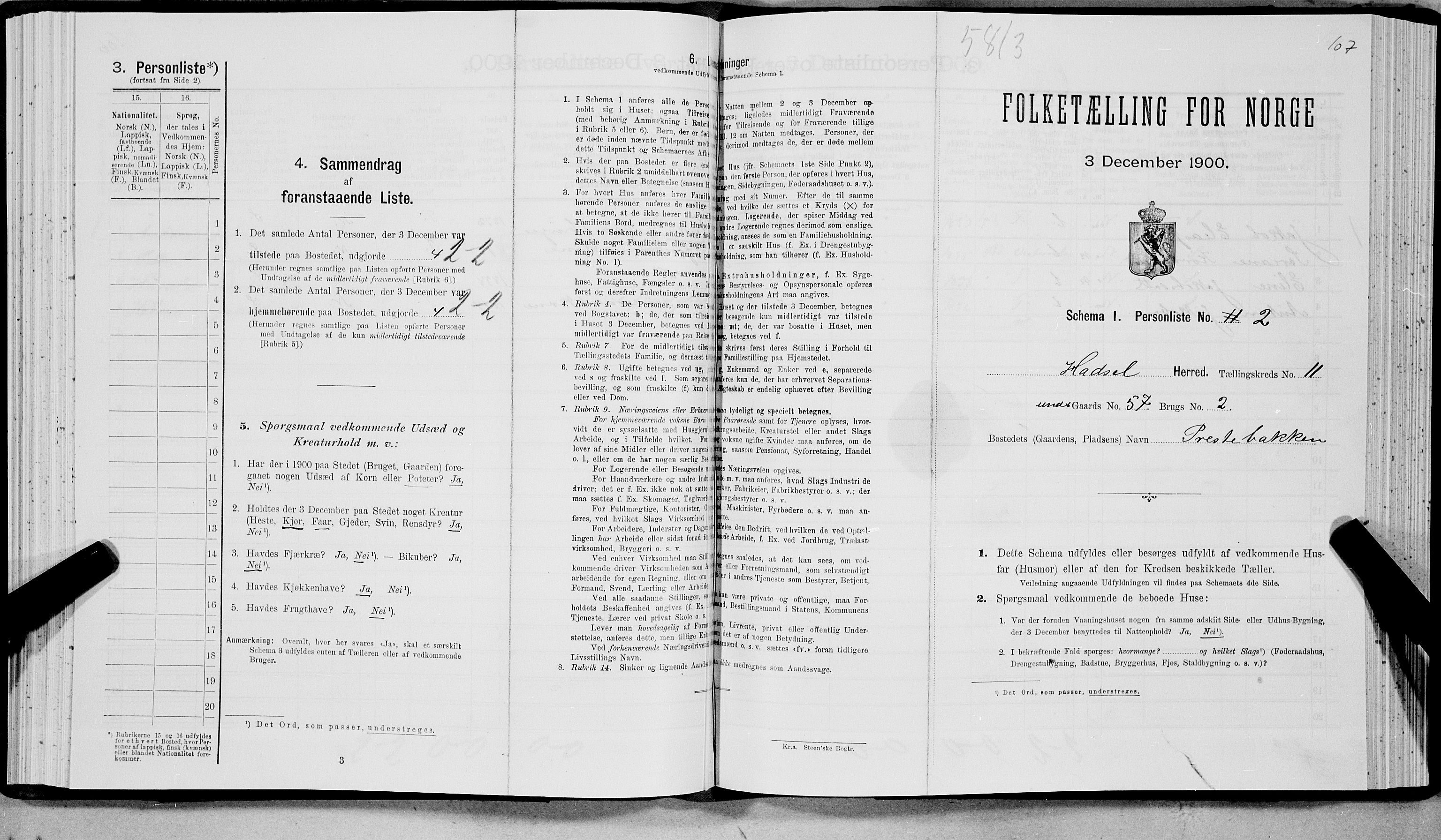 SAT, Folketelling 1900 for 1866 Hadsel herred, 1900, s. 917