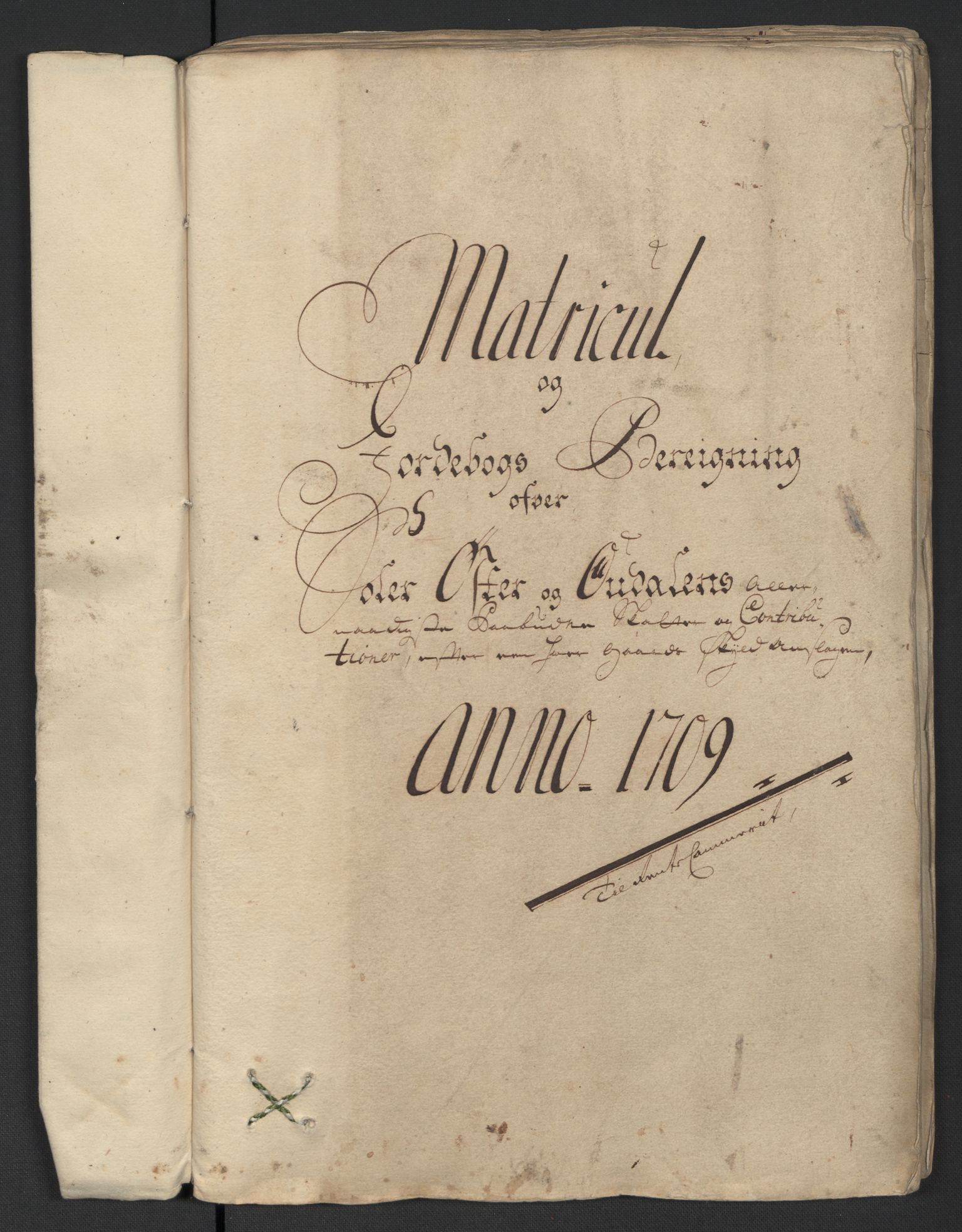 Rentekammeret inntil 1814, Reviderte regnskaper, Fogderegnskap, RA/EA-4092/R13/L0846: Fogderegnskap Solør, Odal og Østerdal, 1709, s. 113