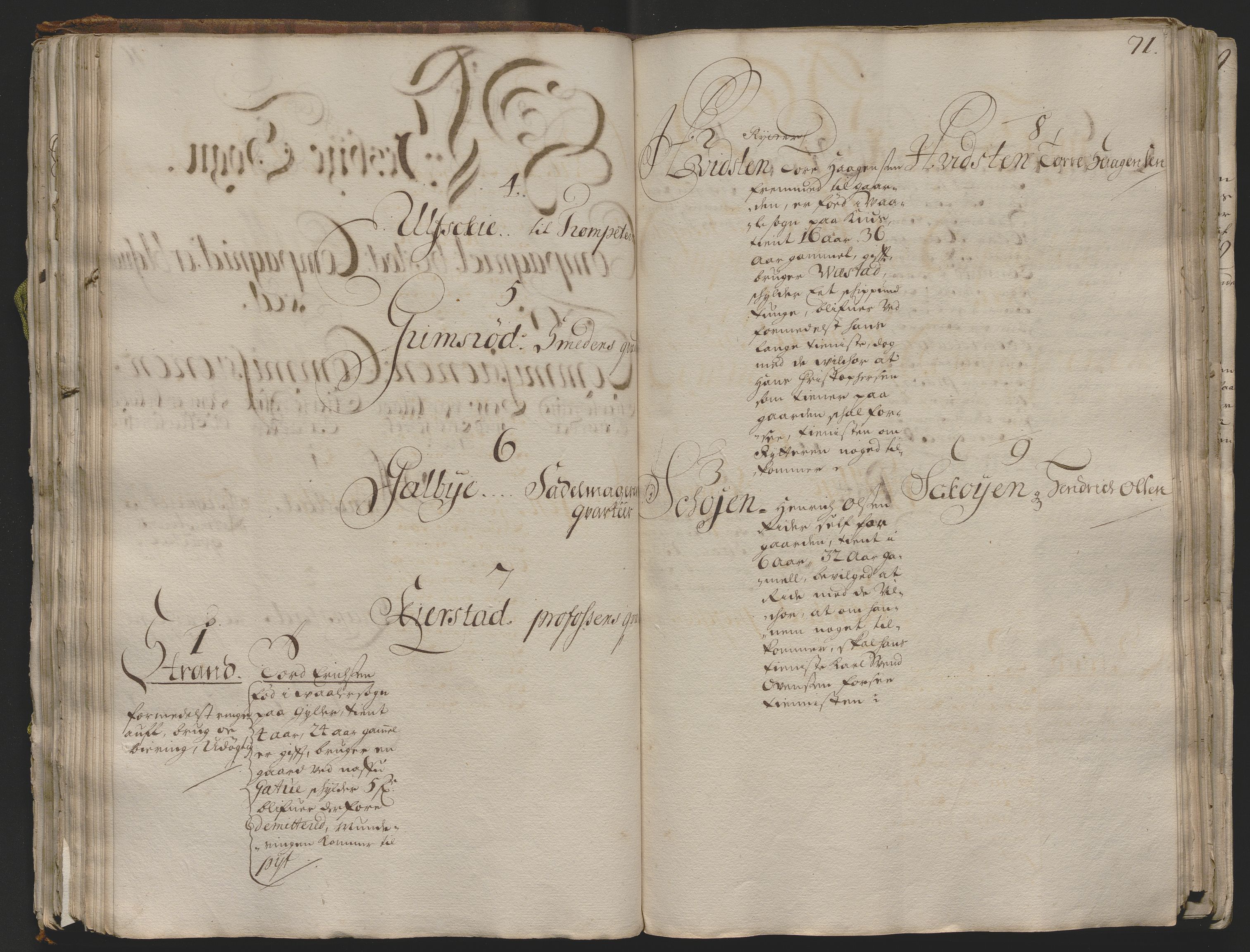 Rentekammeret inntil 1814, Realistisk ordnet avdeling, AV/RA-EA-4070/Ok/L0013: [Ff 19]: Generalhovedrulle over kavaleriet og dragonene i Norge, 1690-1691, s. 70b-71a