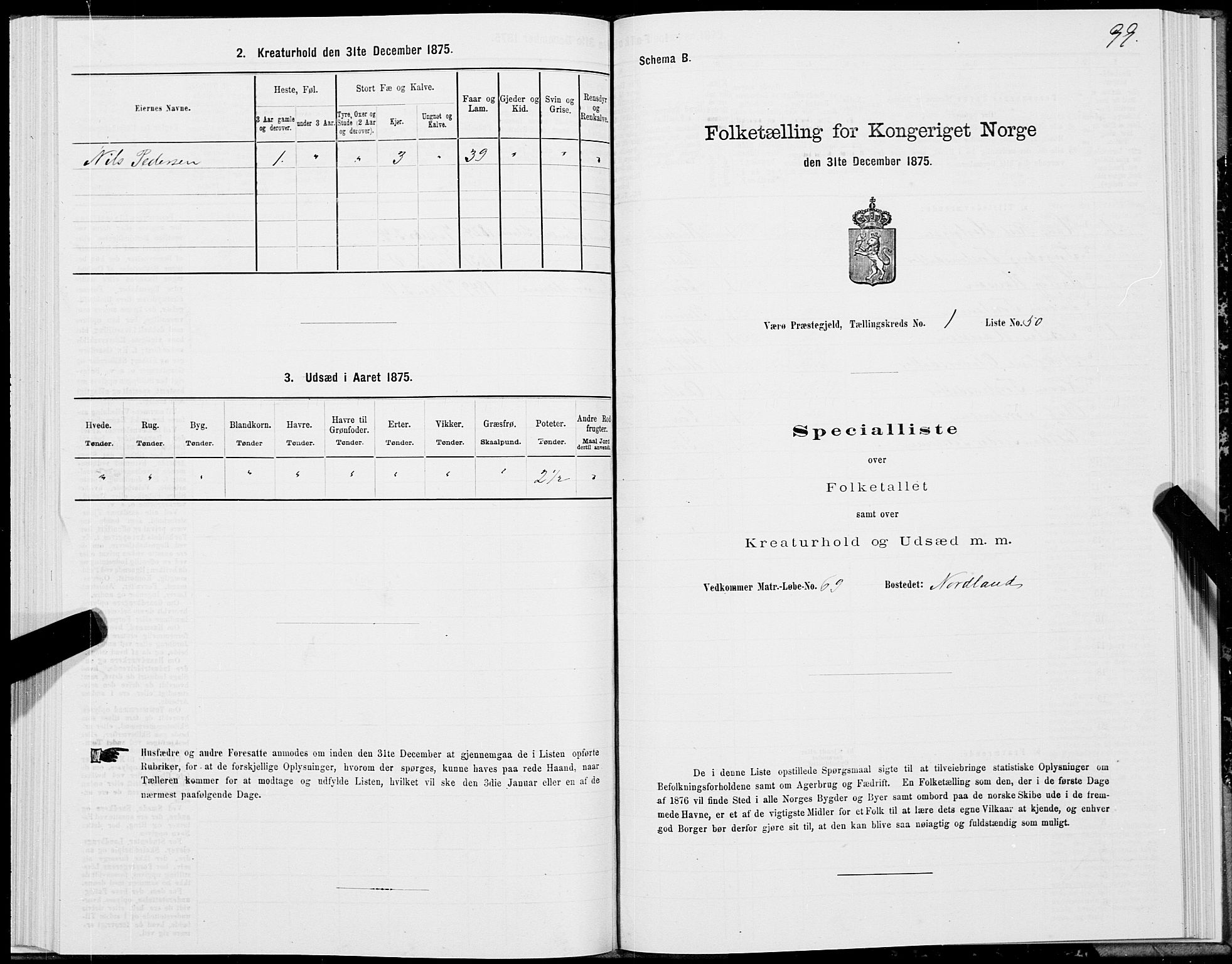 SAT, Folketelling 1875 for 1857P Værøy prestegjeld, 1875, s. 1099