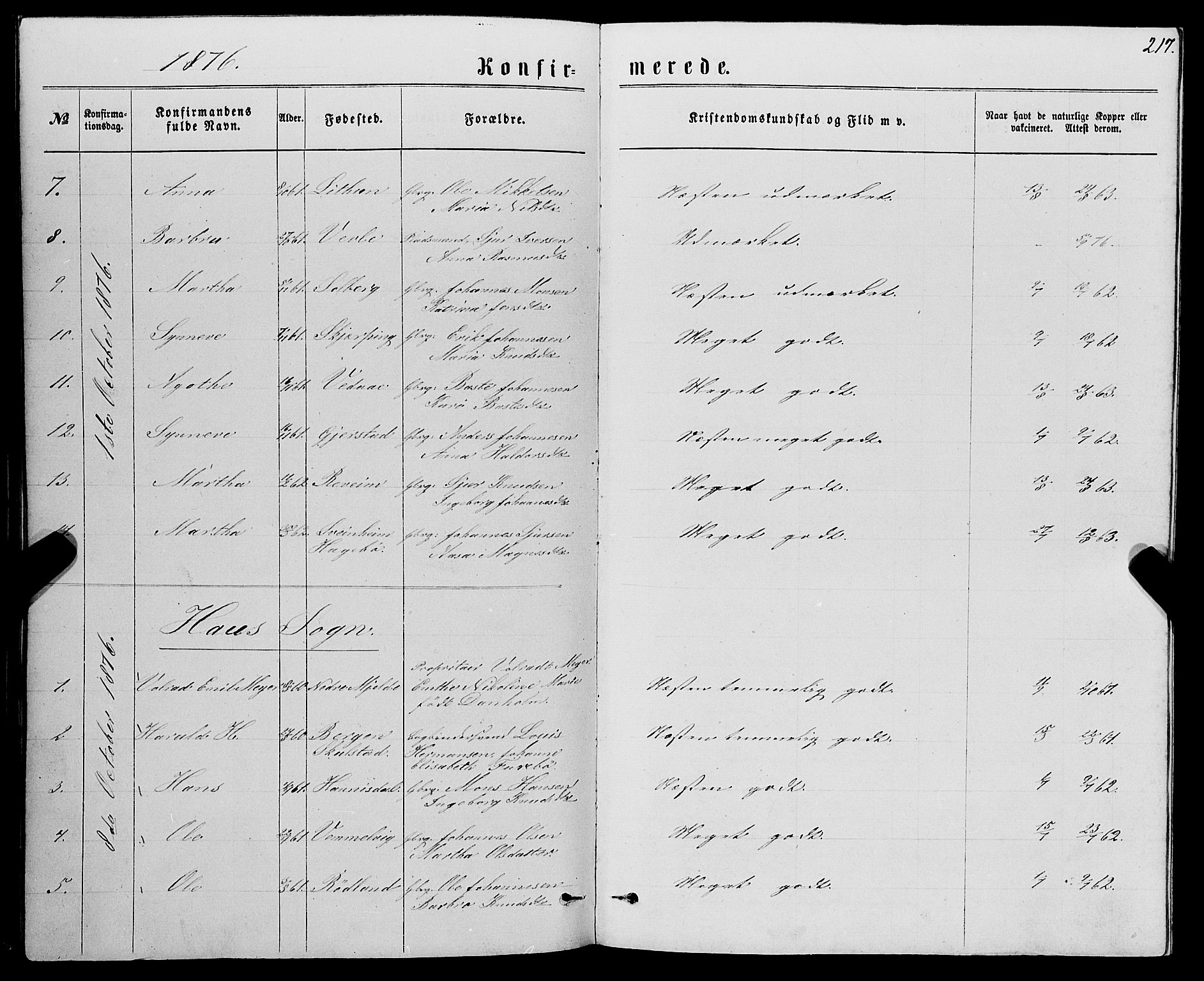 Haus sokneprestembete, SAB/A-75601/H/Haa: Ministerialbok nr. A 18, 1871-1877, s. 217
