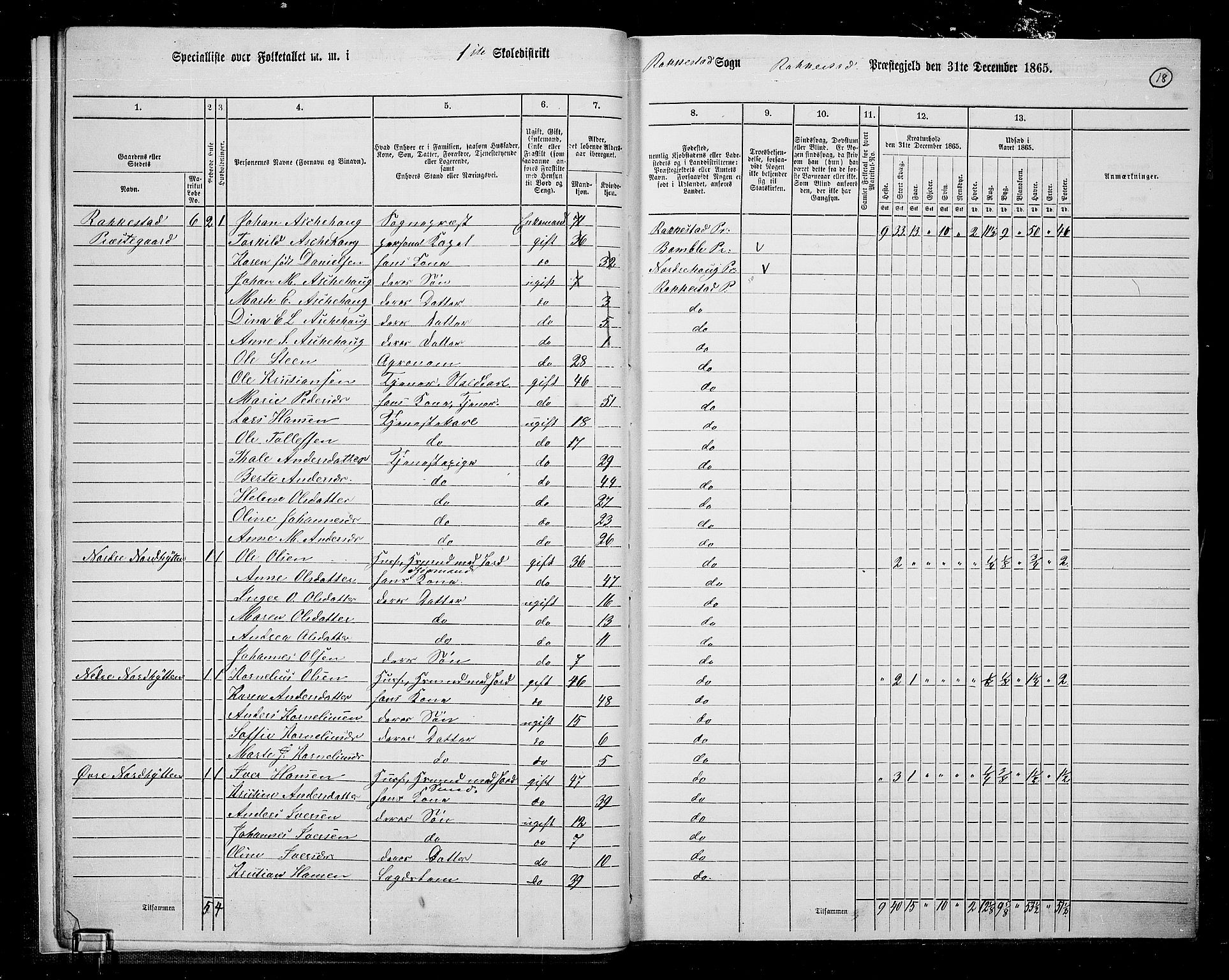 RA, Folketelling 1865 for 0128P Rakkestad prestegjeld, 1865, s. 19