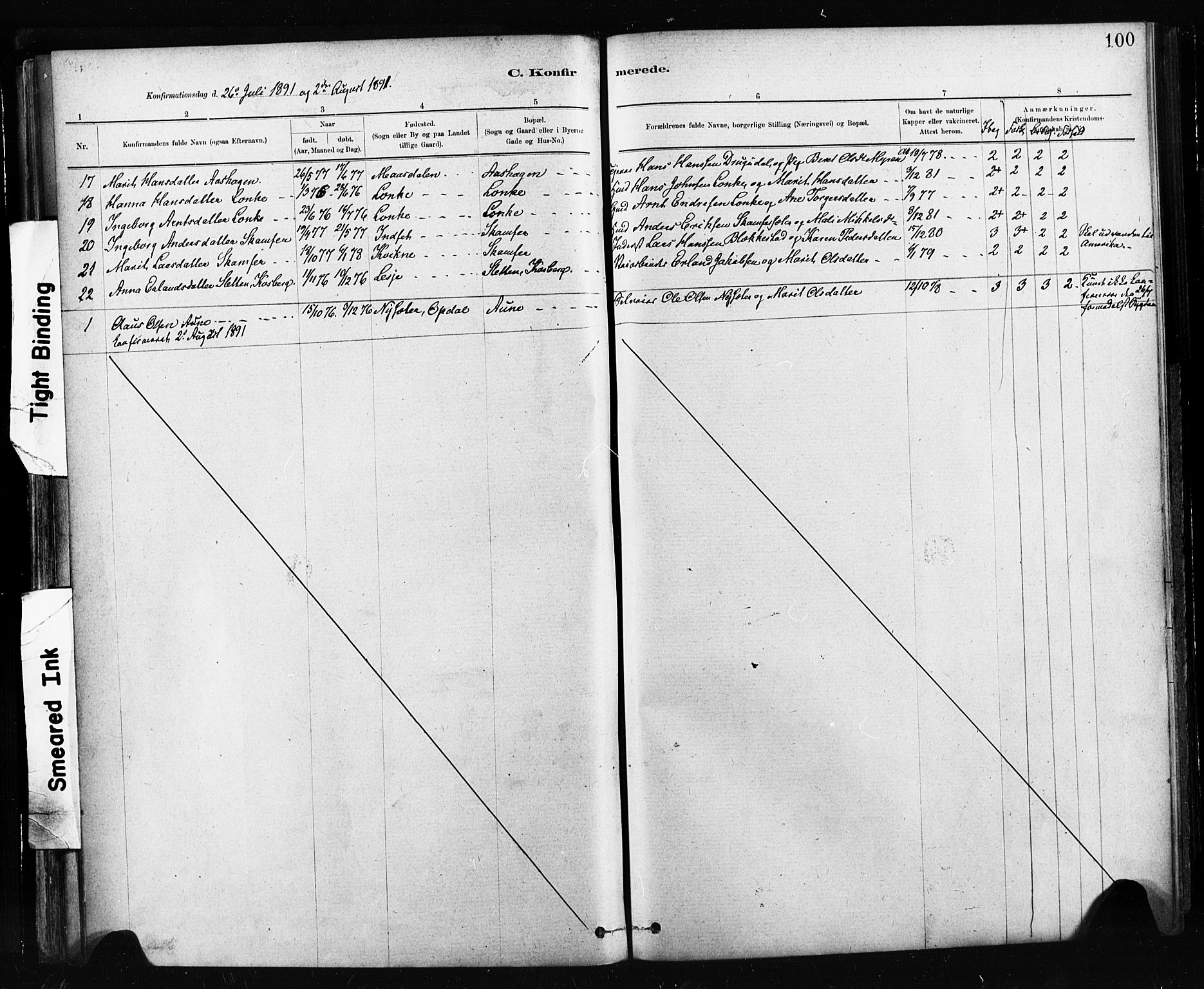 Ministerialprotokoller, klokkerbøker og fødselsregistre - Sør-Trøndelag, SAT/A-1456/674/L0871: Ministerialbok nr. 674A03, 1880-1896, s. 100