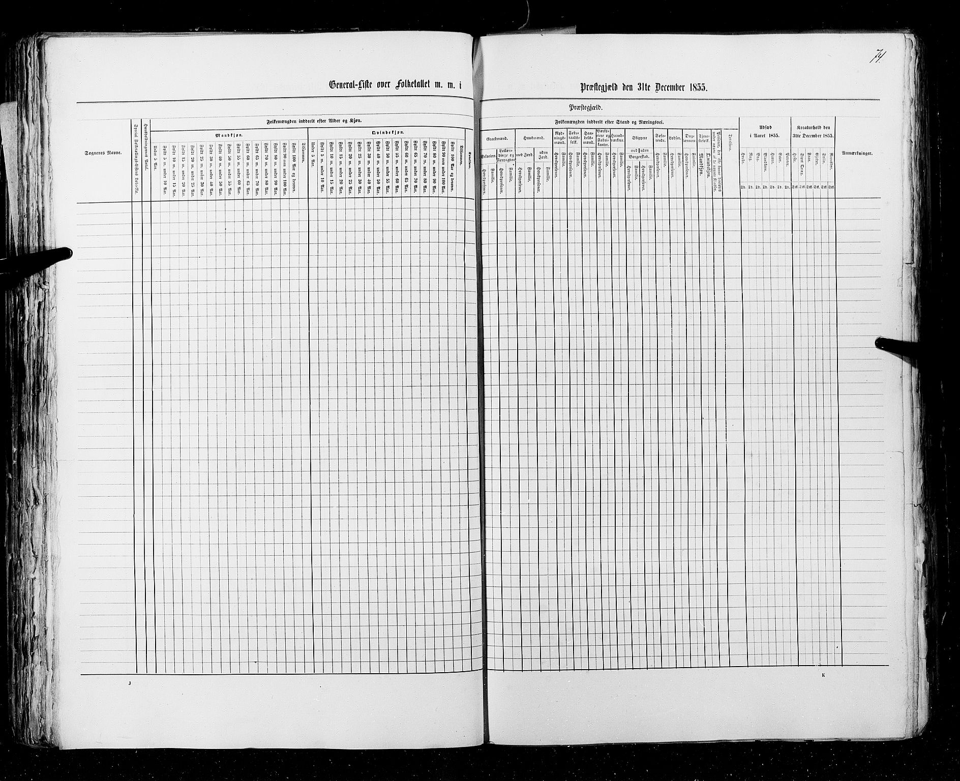 RA, Folketellingen 1855, bind 3: Bratsberg amt, Nedenes amt og Lister og Mandal amt, 1855, s. 74