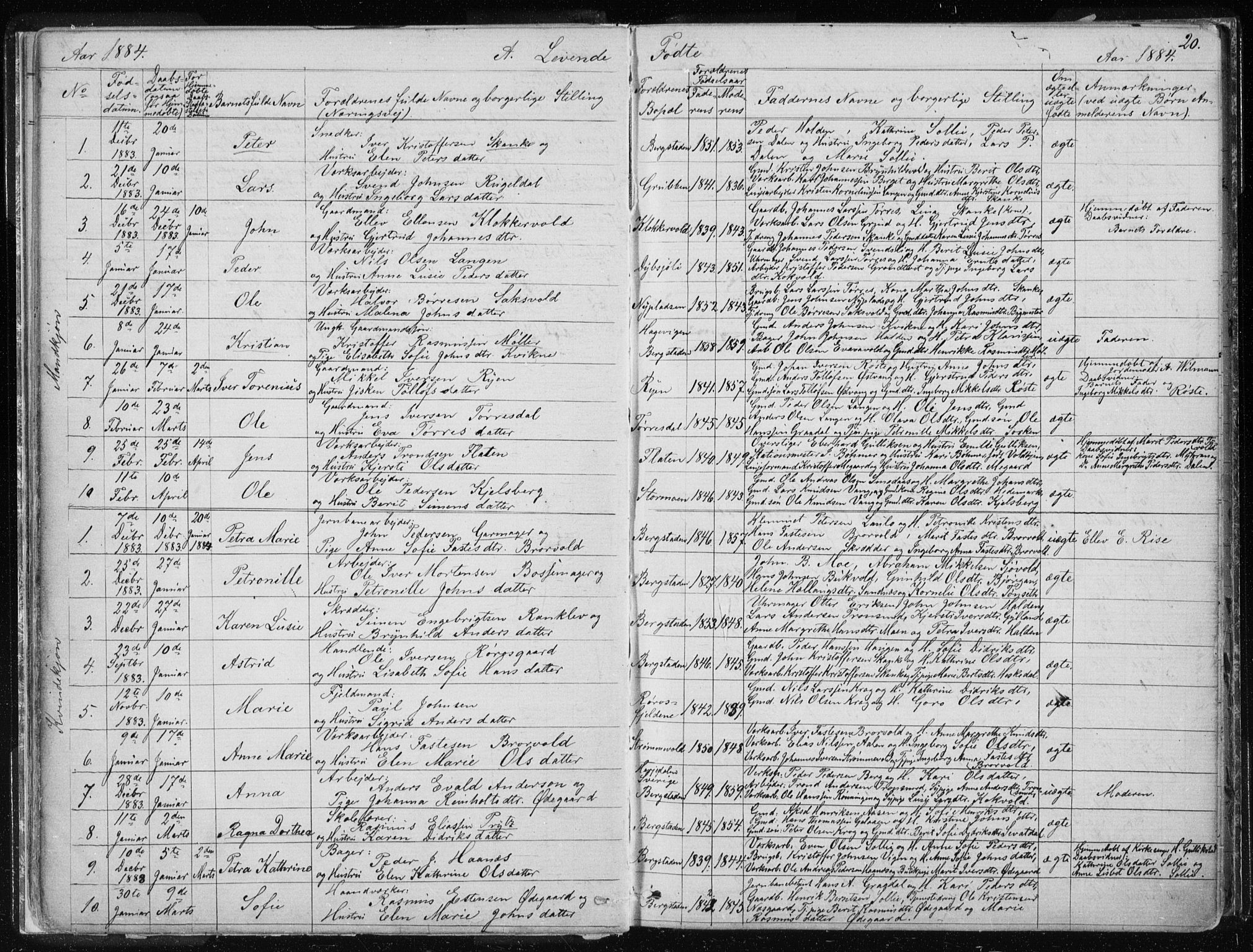 Ministerialprotokoller, klokkerbøker og fødselsregistre - Sør-Trøndelag, AV/SAT-A-1456/681/L0940: Klokkerbok nr. 681C04, 1880-1895, s. 20
