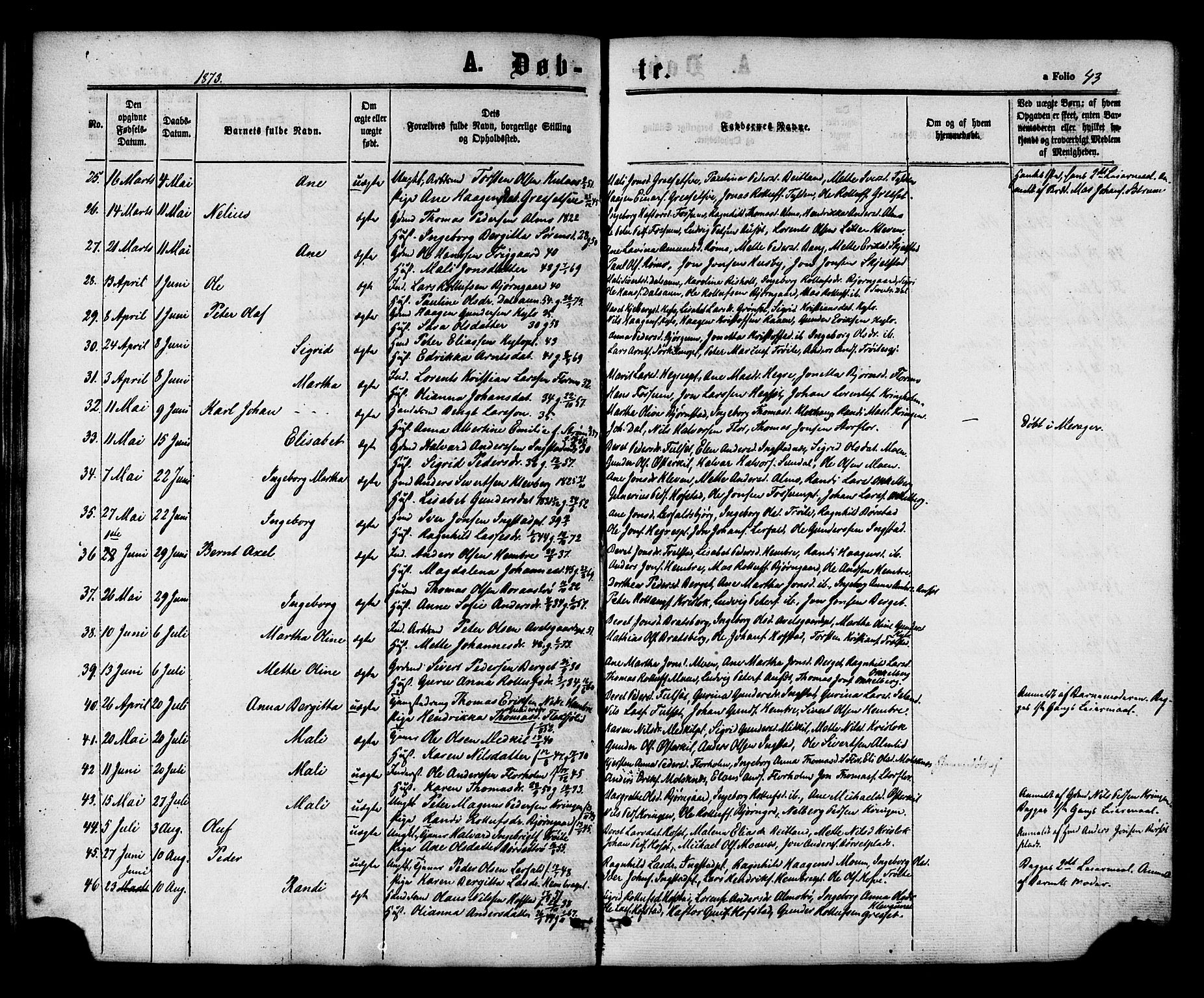 Ministerialprotokoller, klokkerbøker og fødselsregistre - Nord-Trøndelag, SAT/A-1458/703/L0029: Ministerialbok nr. 703A02, 1863-1879, s. 43