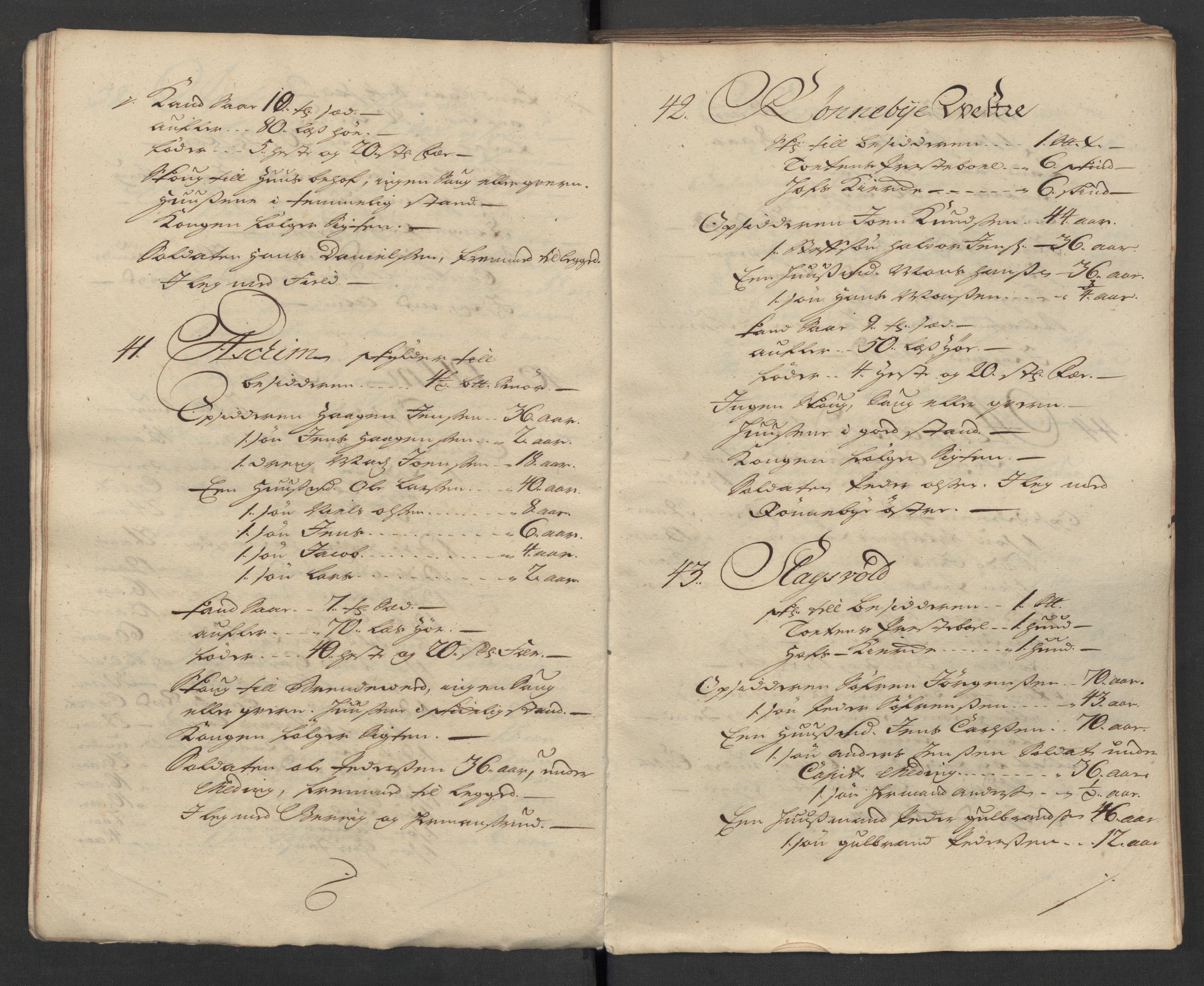 1. Sønnafjelske (Akershusiske) dragonregiment, AV/RA-EA-1760/F/L0032: Legdsruller for Totenske, Hedemarkske, Larvikske og Jarlsbergske kompanier, 1717, s. 23