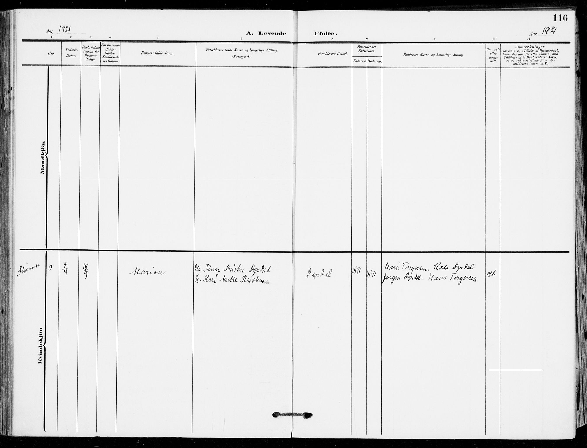 Sande Kirkebøker, AV/SAKO-A-53/F/Fa/L0008: Ministerialbok nr. 8, 1904-1921, s. 116