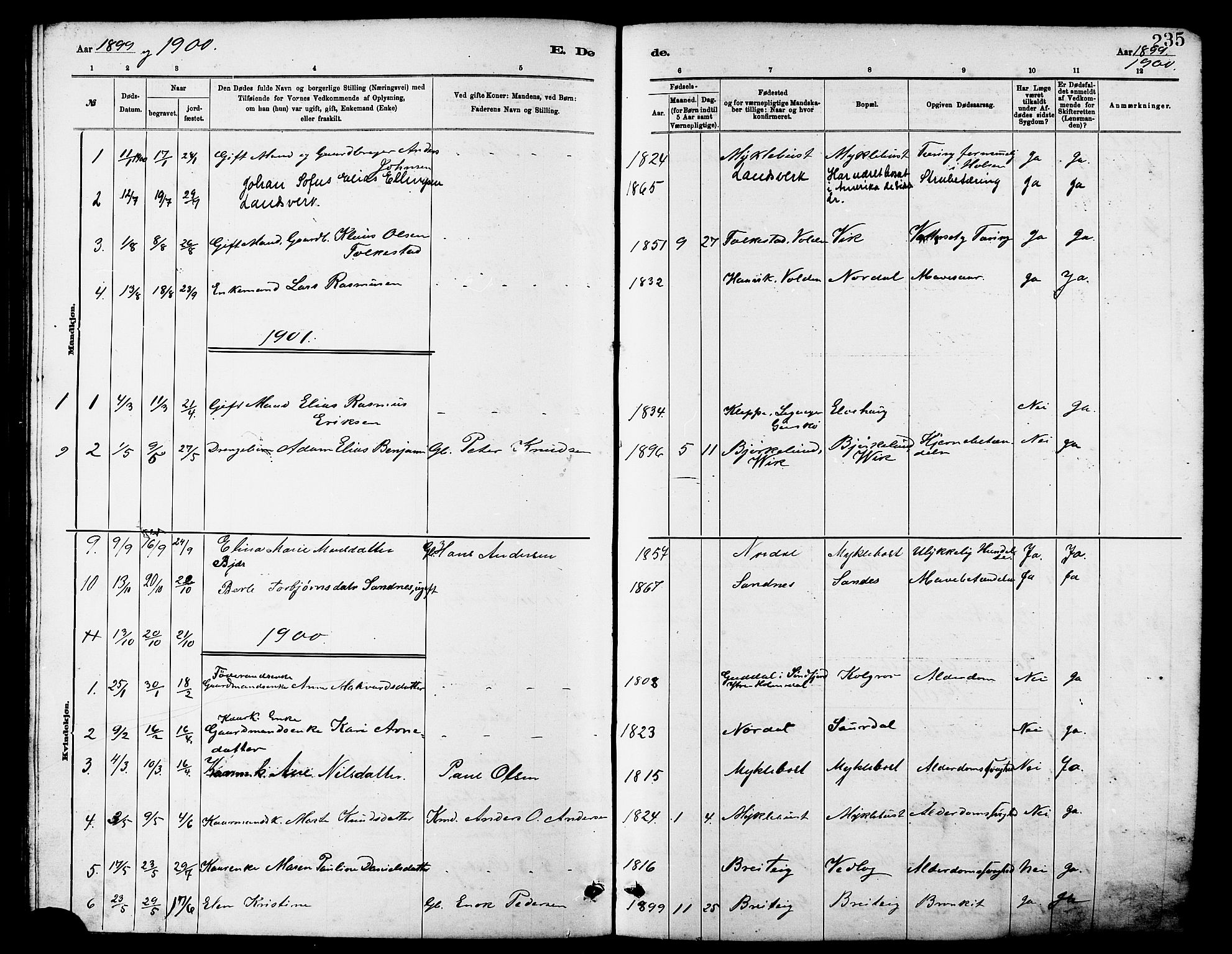 Ministerialprotokoller, klokkerbøker og fødselsregistre - Møre og Romsdal, SAT/A-1454/502/L0027: Klokkerbok nr. 502C01, 1878-1908, s. 235