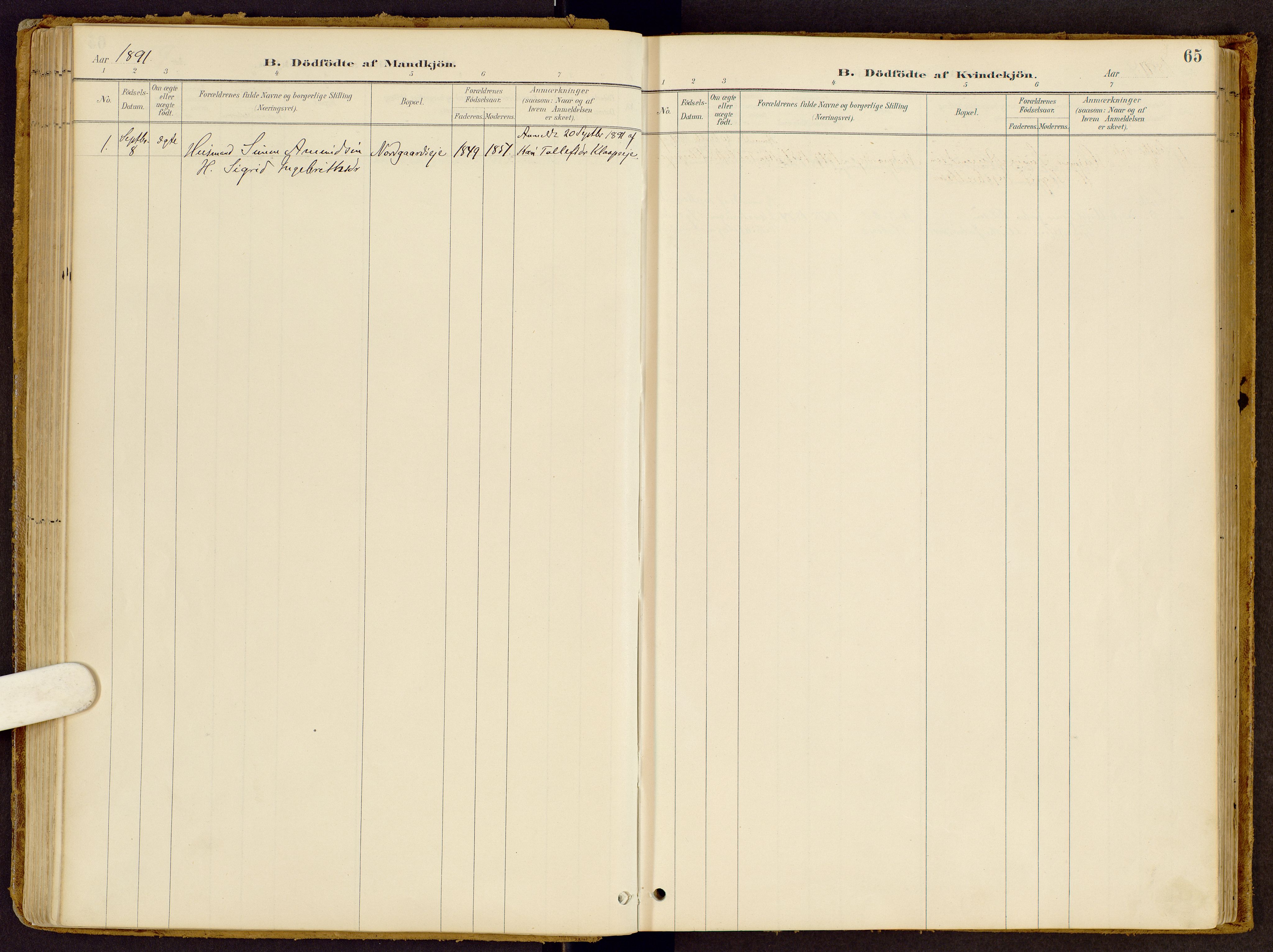Vestre Gausdal prestekontor, AV/SAH-PREST-094/H/Ha/Haa/L0002: Ministerialbok nr. 2, 1887-1918, s. 65