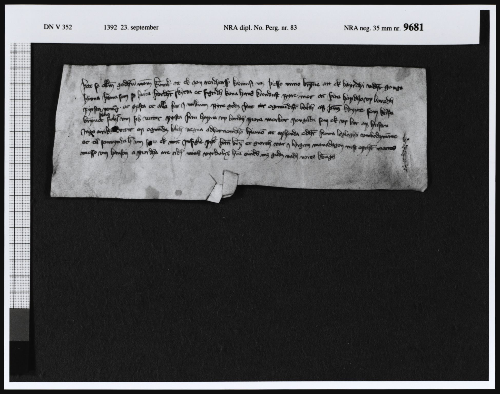 Riksarkivets diplomsamling, AV/RA-EA-5965/F08, 1224-1564, s. 193