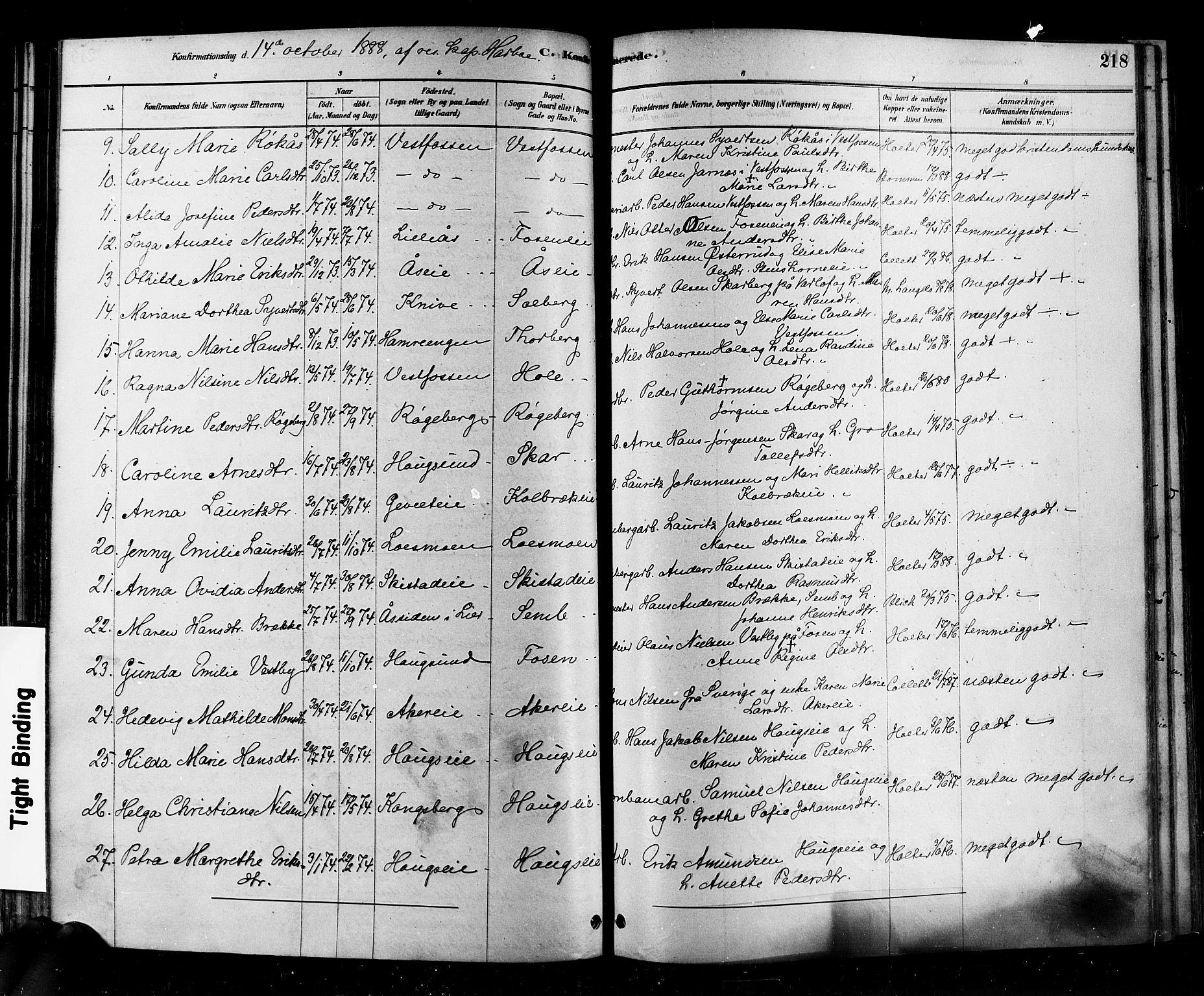 Eiker kirkebøker, AV/SAKO-A-4/F/Fb/L0001: Ministerialbok nr. II 1, 1878-1888, s. 218