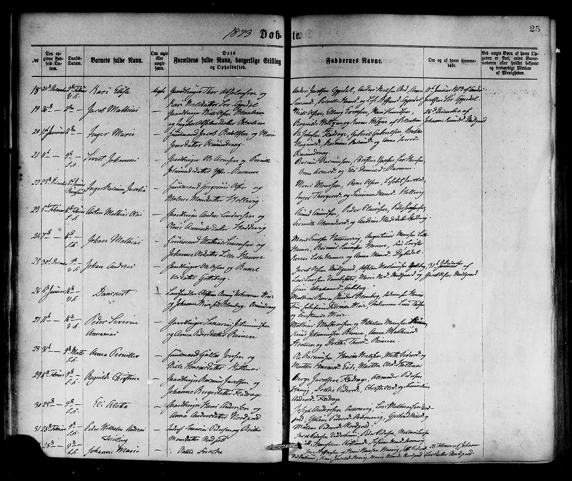 Selje sokneprestembete, AV/SAB-A-99938/H/Ha/Haa/Haaa: Ministerialbok nr. A 12, 1870-1880, s. 25