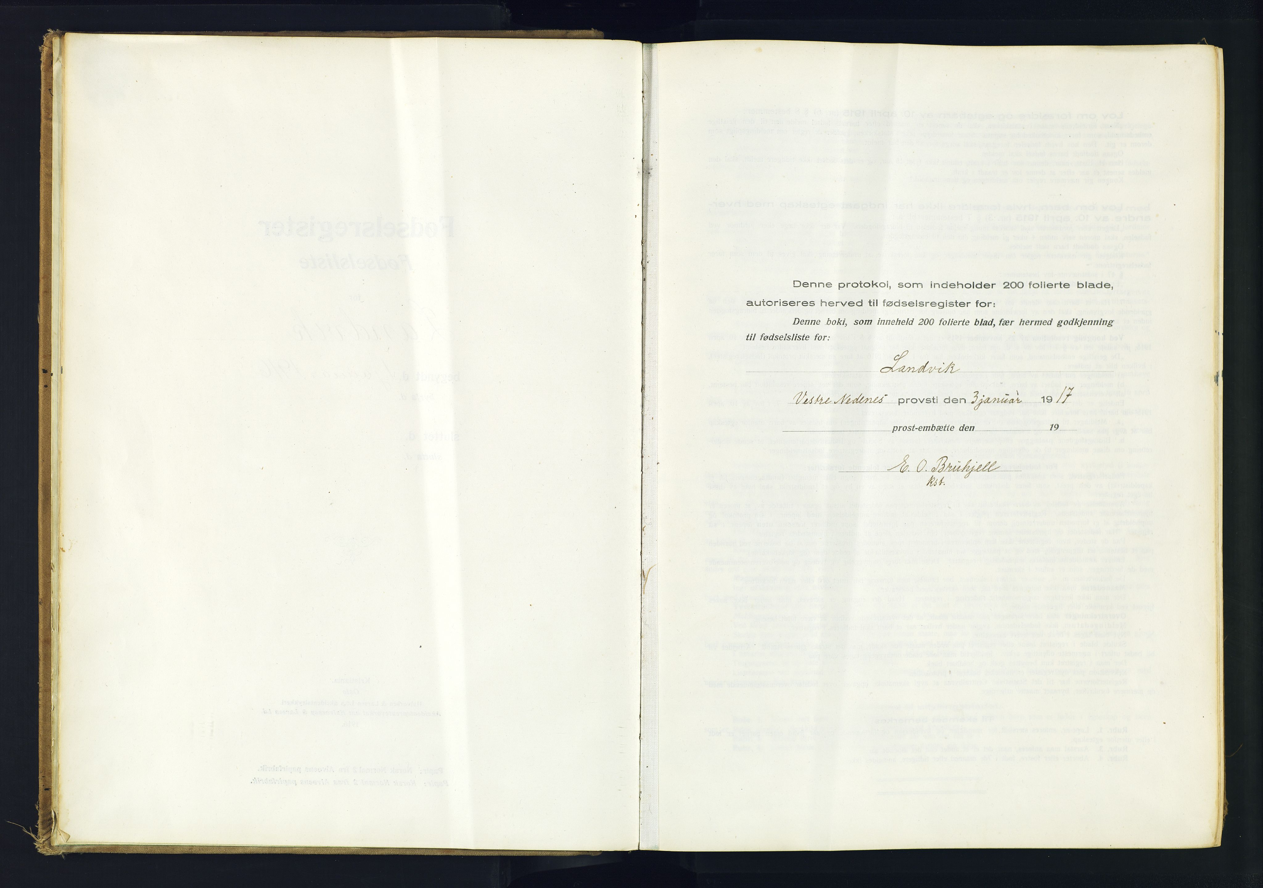 Hommedal sokneprestkontor, AV/SAK-1111-0023/J/Jd/L0001: Fødselsregister nr. 1, 1916-1962
