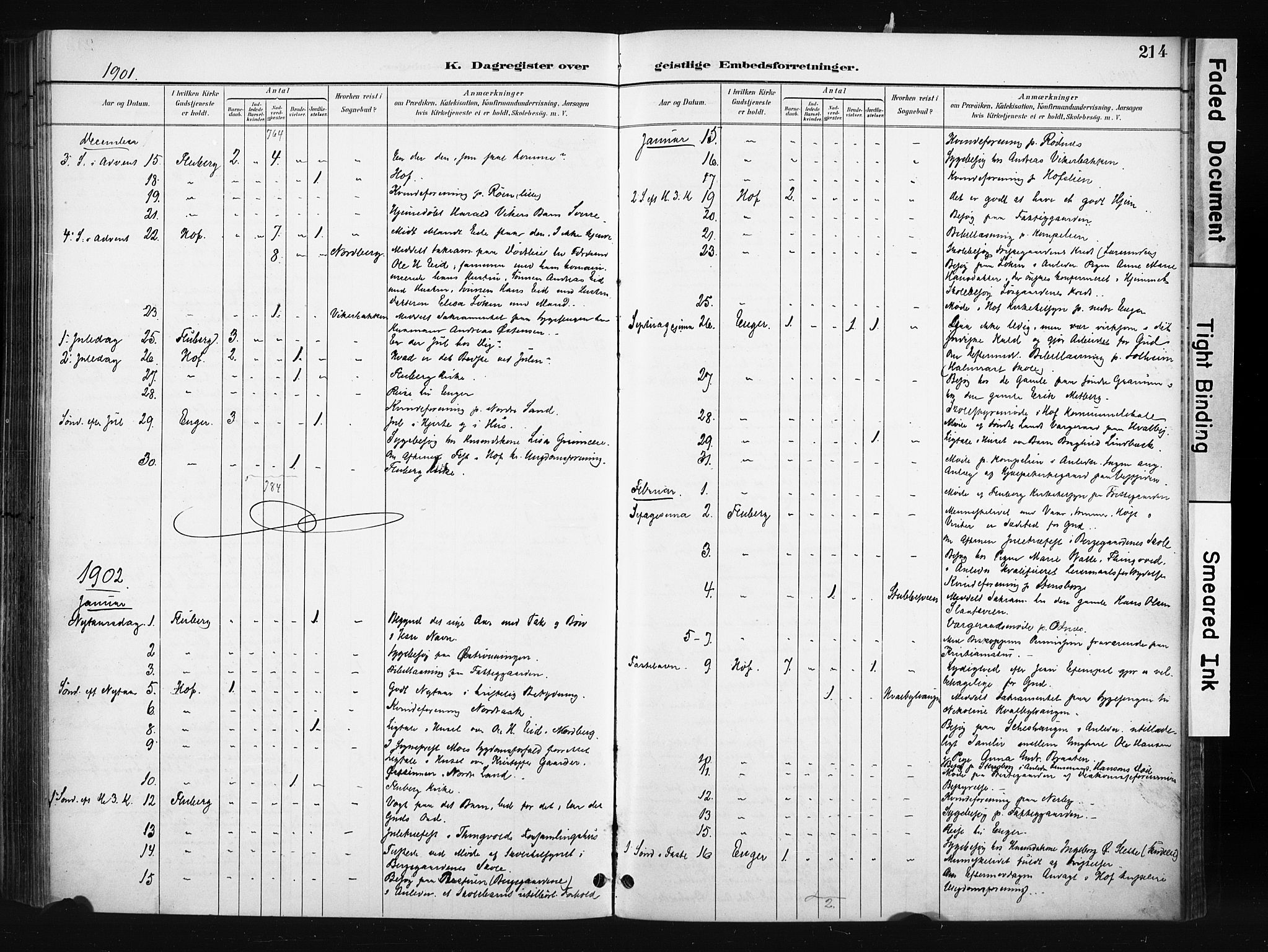 Søndre Land prestekontor, SAH/PREST-122/K/L0004: Ministerialbok nr. 4, 1895-1904, s. 214