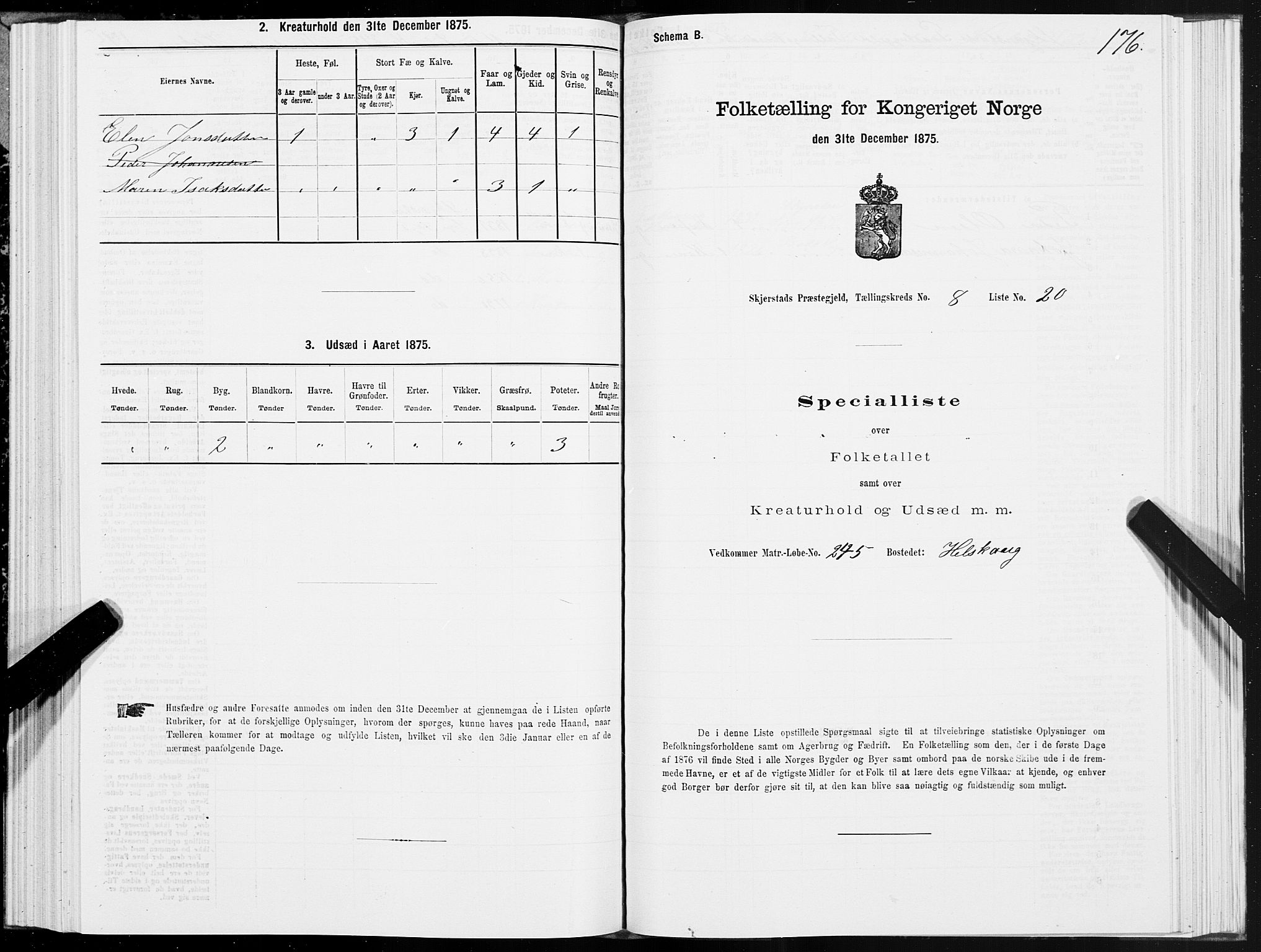 SAT, Folketelling 1875 for 1842P Skjerstad prestegjeld, 1875, s. 4176