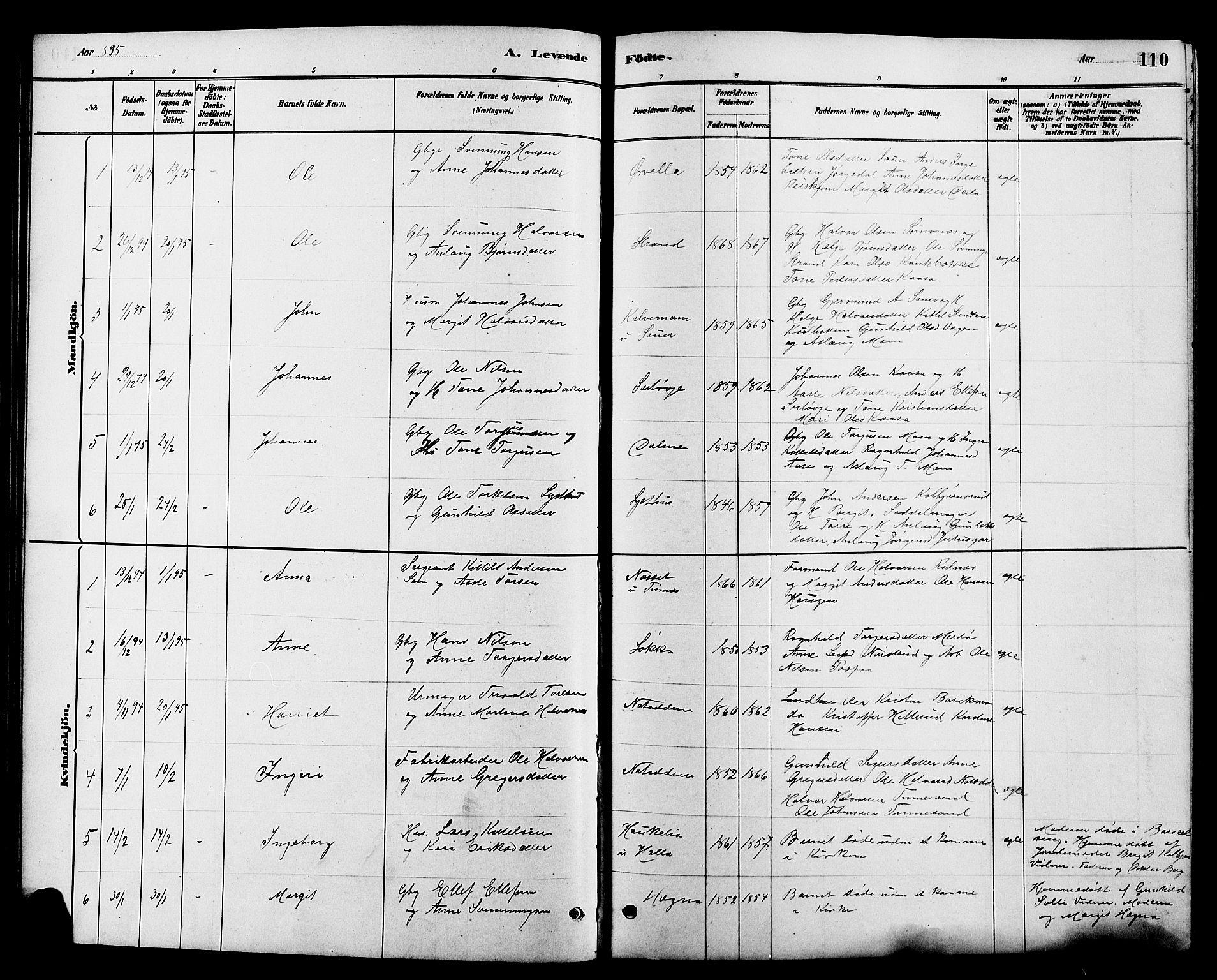 Heddal kirkebøker, AV/SAKO-A-268/G/Ga/L0002: Klokkerbok nr. I 2, 1879-1908, s. 110