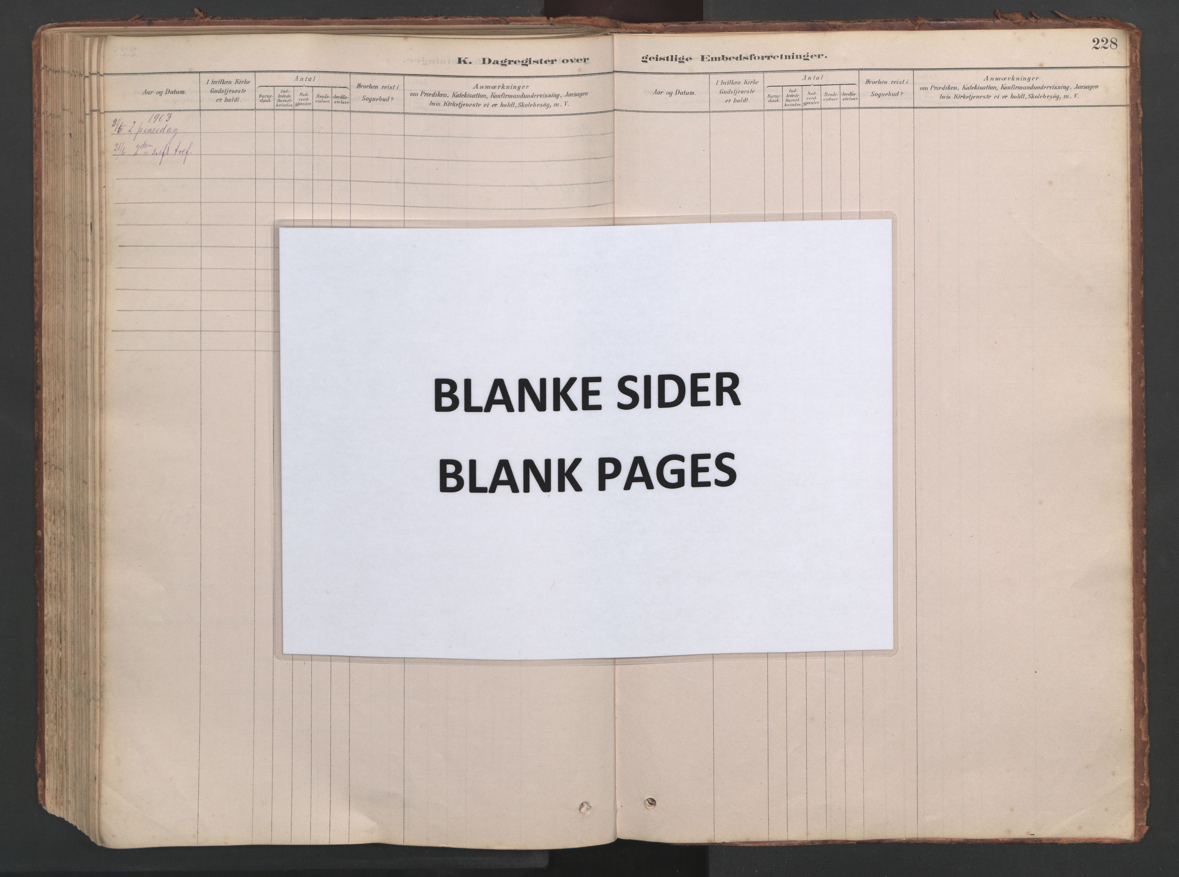 Ministerialprotokoller, klokkerbøker og fødselsregistre - Møre og Romsdal, AV/SAT-A-1454/514/L0201: Klokkerbok nr. 514C01, 1878-1919, s. 228