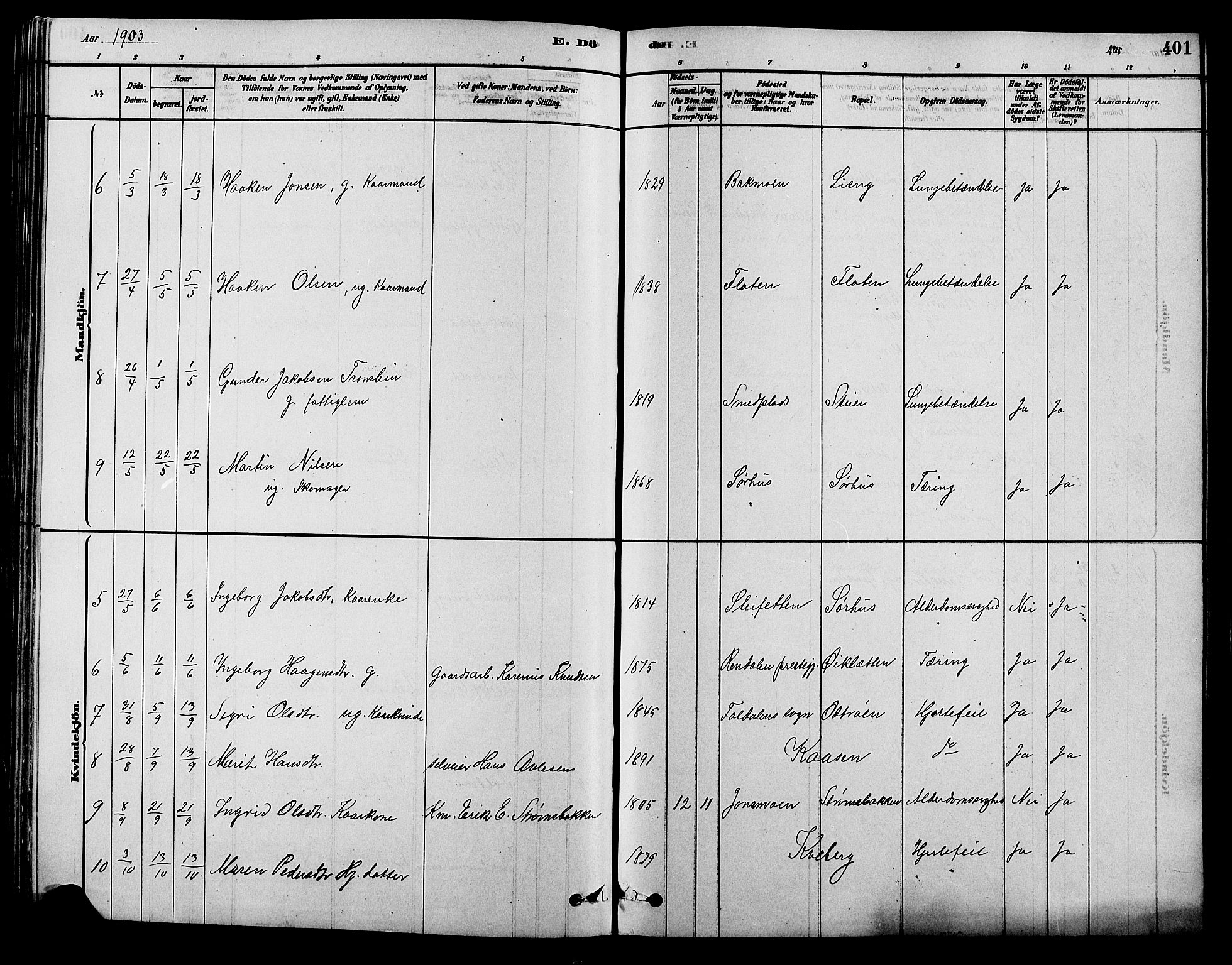 Alvdal prestekontor, AV/SAH-PREST-060/H/Ha/Hab/L0003: Klokkerbok nr. 3, 1878-1907, s. 401