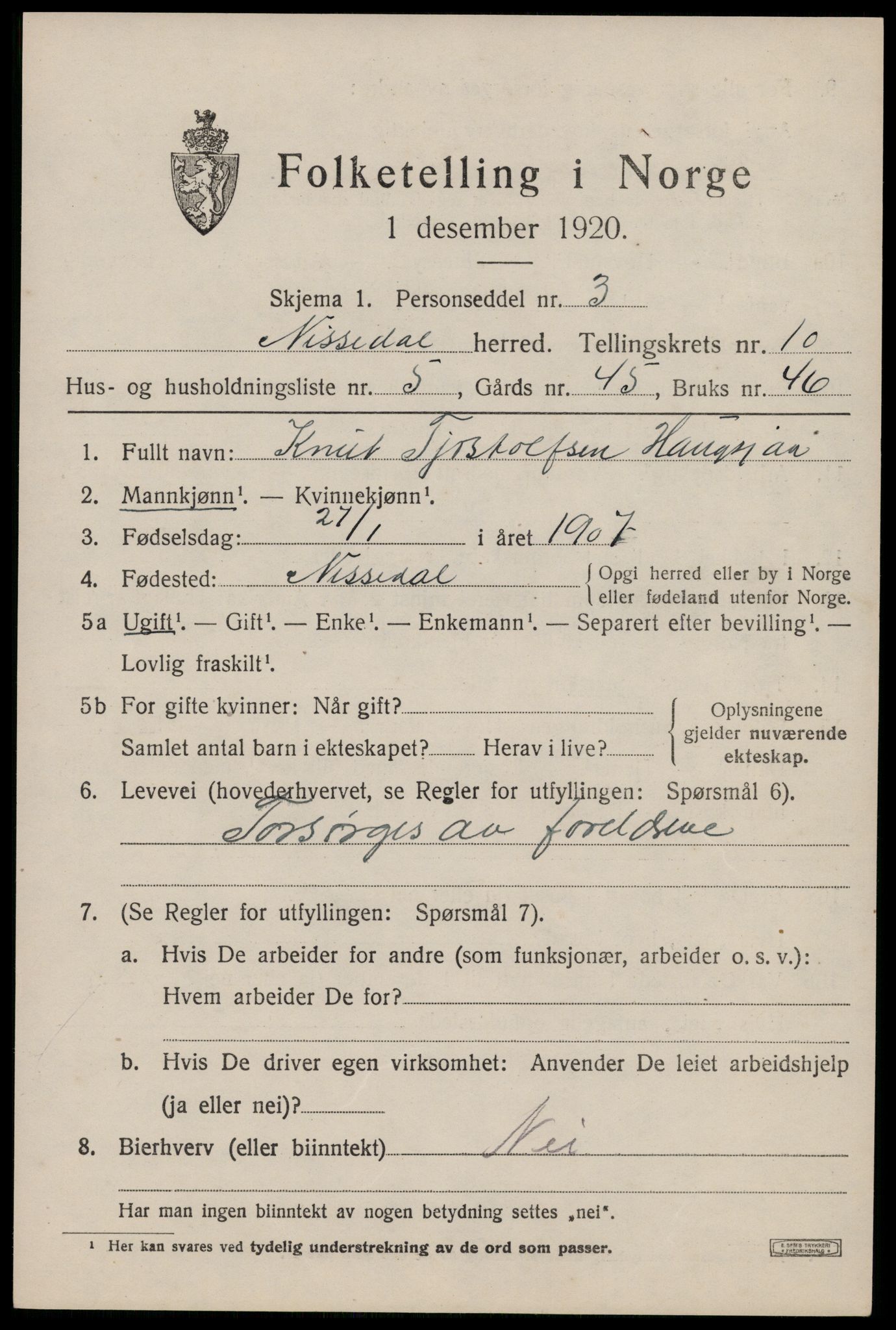 SAKO, Folketelling 1920 for 0830 Nissedal herred, 1920, s. 3921