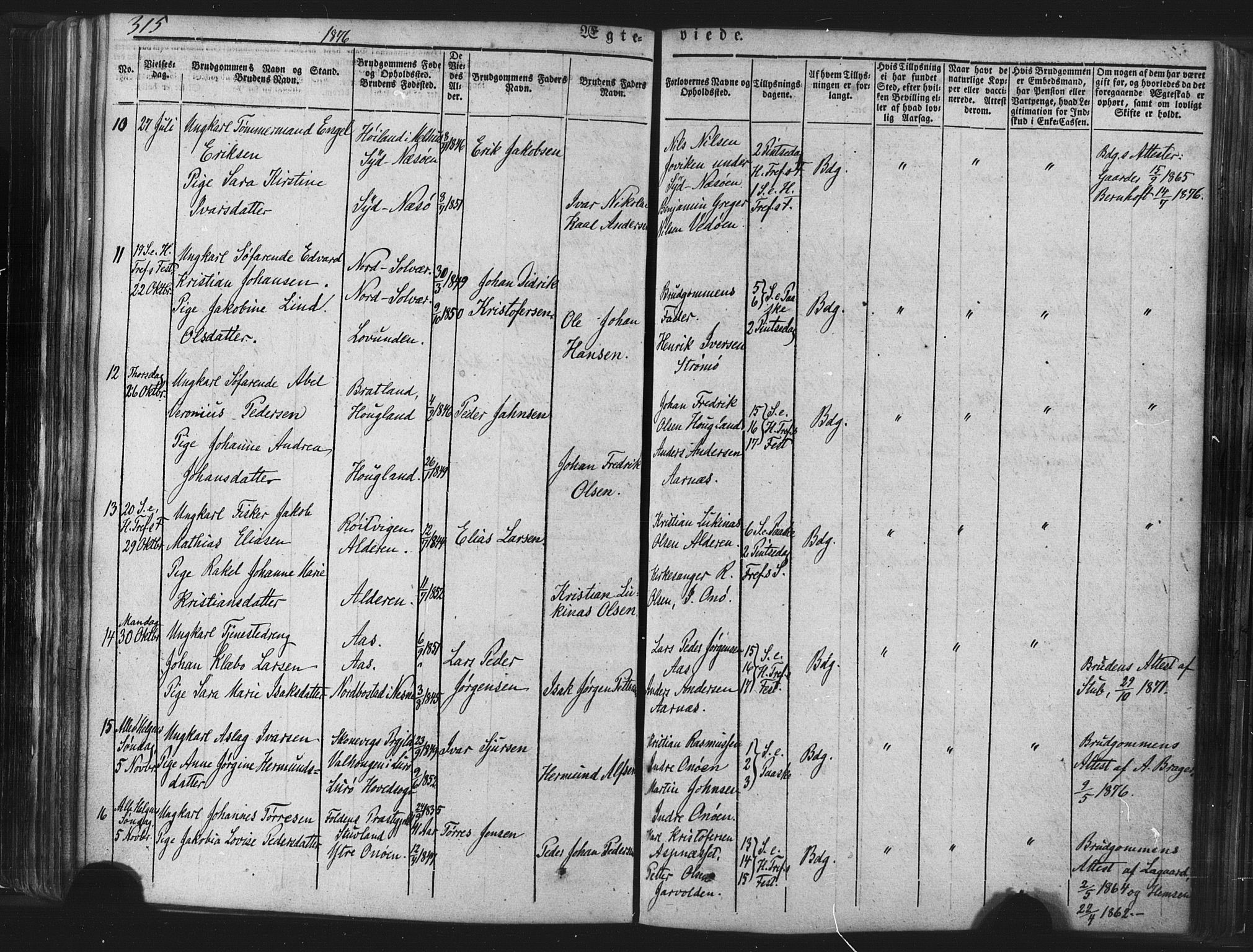 Ministerialprotokoller, klokkerbøker og fødselsregistre - Nordland, SAT/A-1459/839/L0567: Ministerialbok nr. 839A04, 1863-1879, s. 315