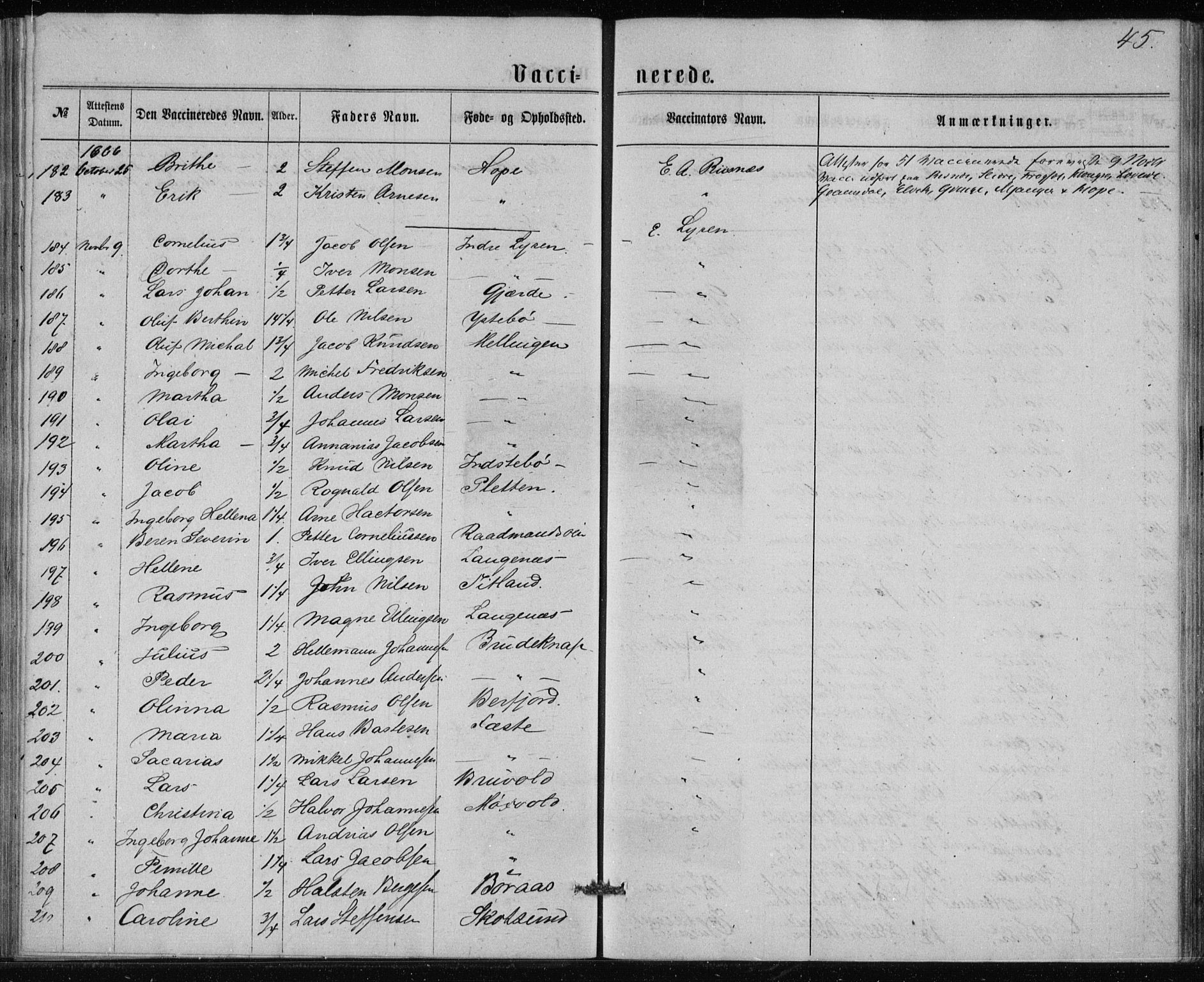 Lindås Sokneprestembete, AV/SAB-A-76701/H/Haa/Haaa/L0017: Ministerialbok nr. A 17, 1874-1877, s. 45