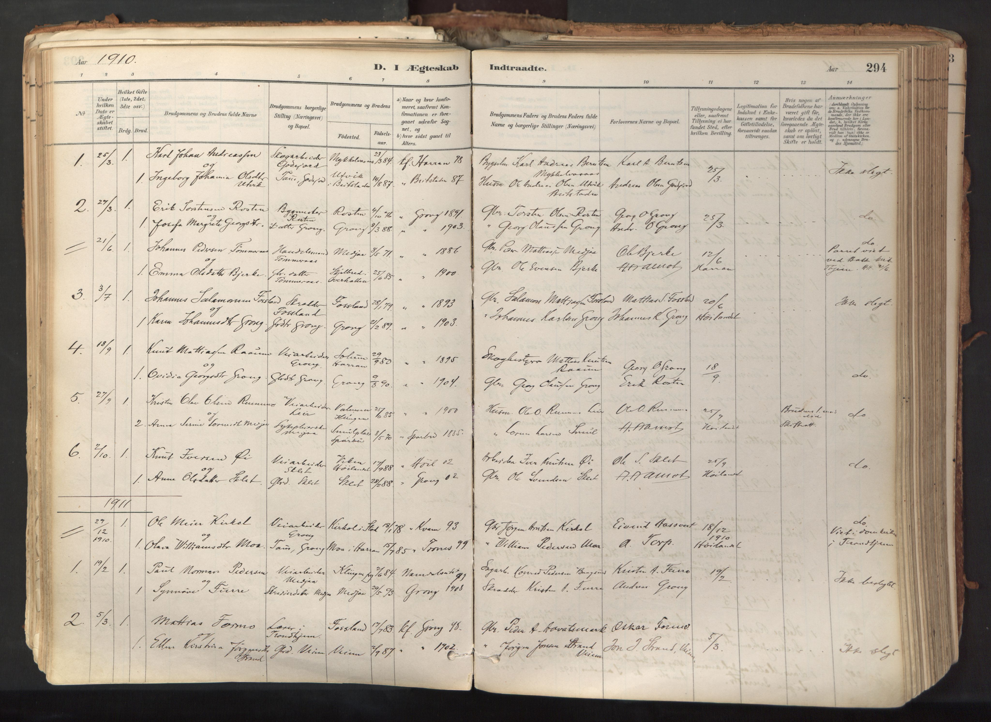 Ministerialprotokoller, klokkerbøker og fødselsregistre - Nord-Trøndelag, SAT/A-1458/758/L0519: Ministerialbok nr. 758A04, 1880-1926, s. 294