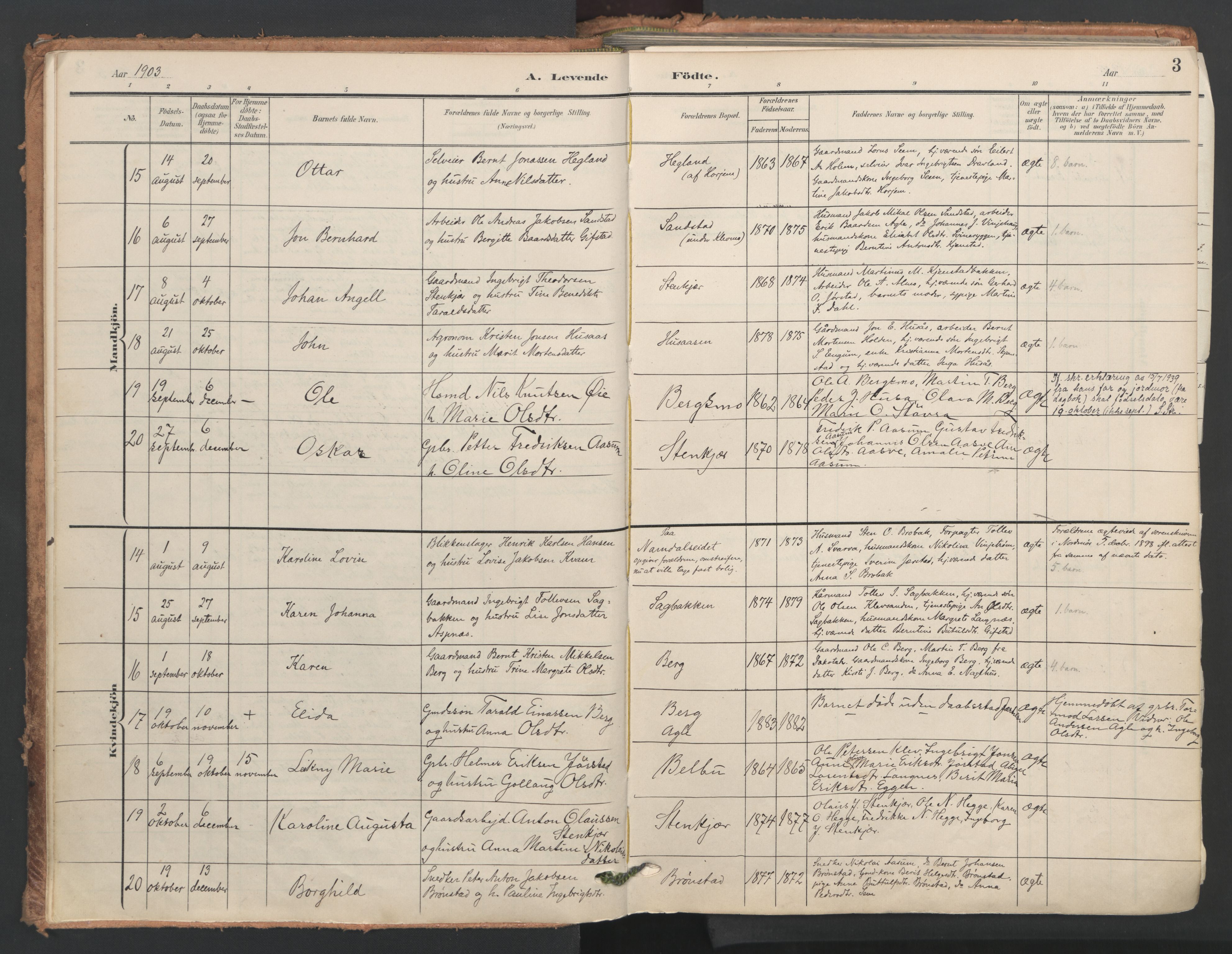 Ministerialprotokoller, klokkerbøker og fødselsregistre - Nord-Trøndelag, AV/SAT-A-1458/749/L0477: Ministerialbok nr. 749A11, 1902-1927, s. 3
