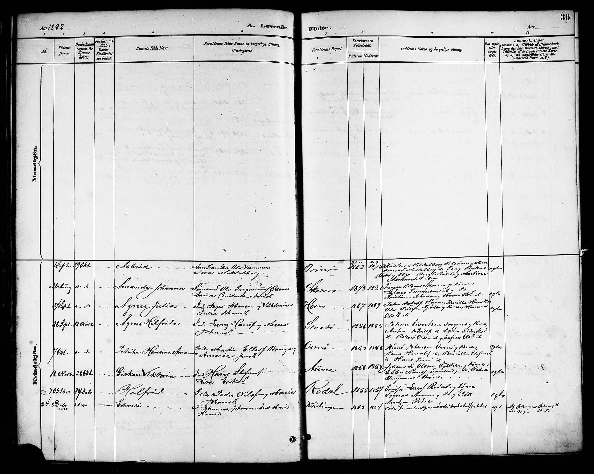 Ministerialprotokoller, klokkerbøker og fødselsregistre - Nordland, AV/SAT-A-1459/813/L0213: Klokkerbok nr. 813C05, 1887-1903, s. 36