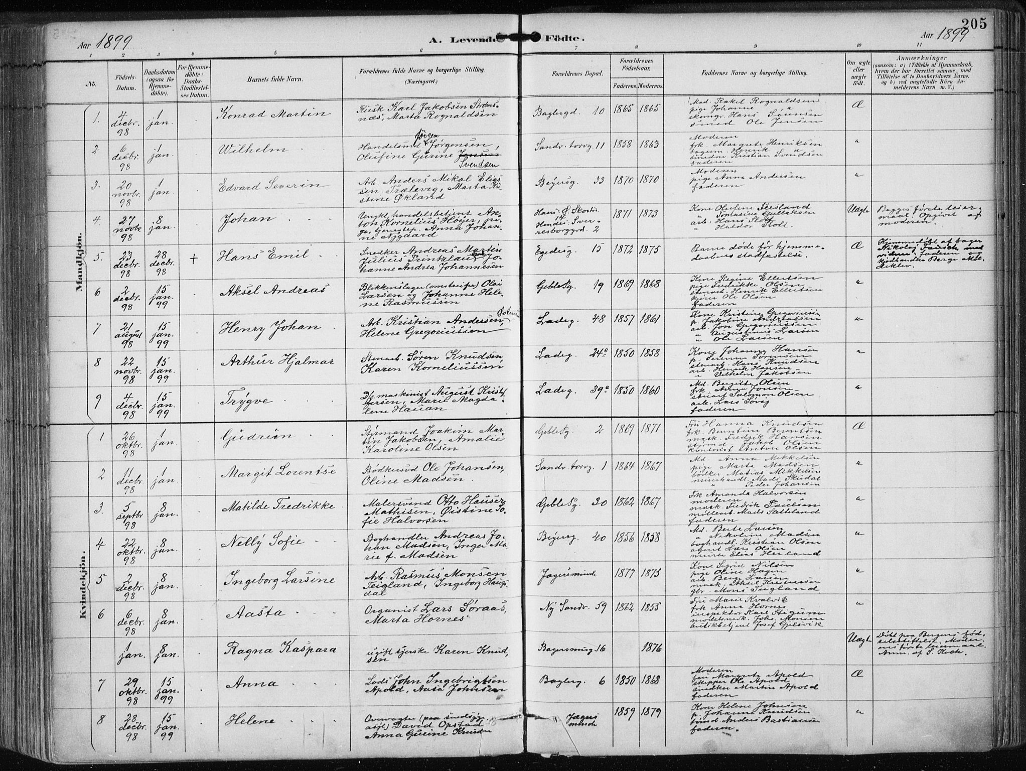 Sandviken Sokneprestembete, AV/SAB-A-77601/H/Ha/L0005: Ministerialbok nr. B 2, 1891-1901, s. 205