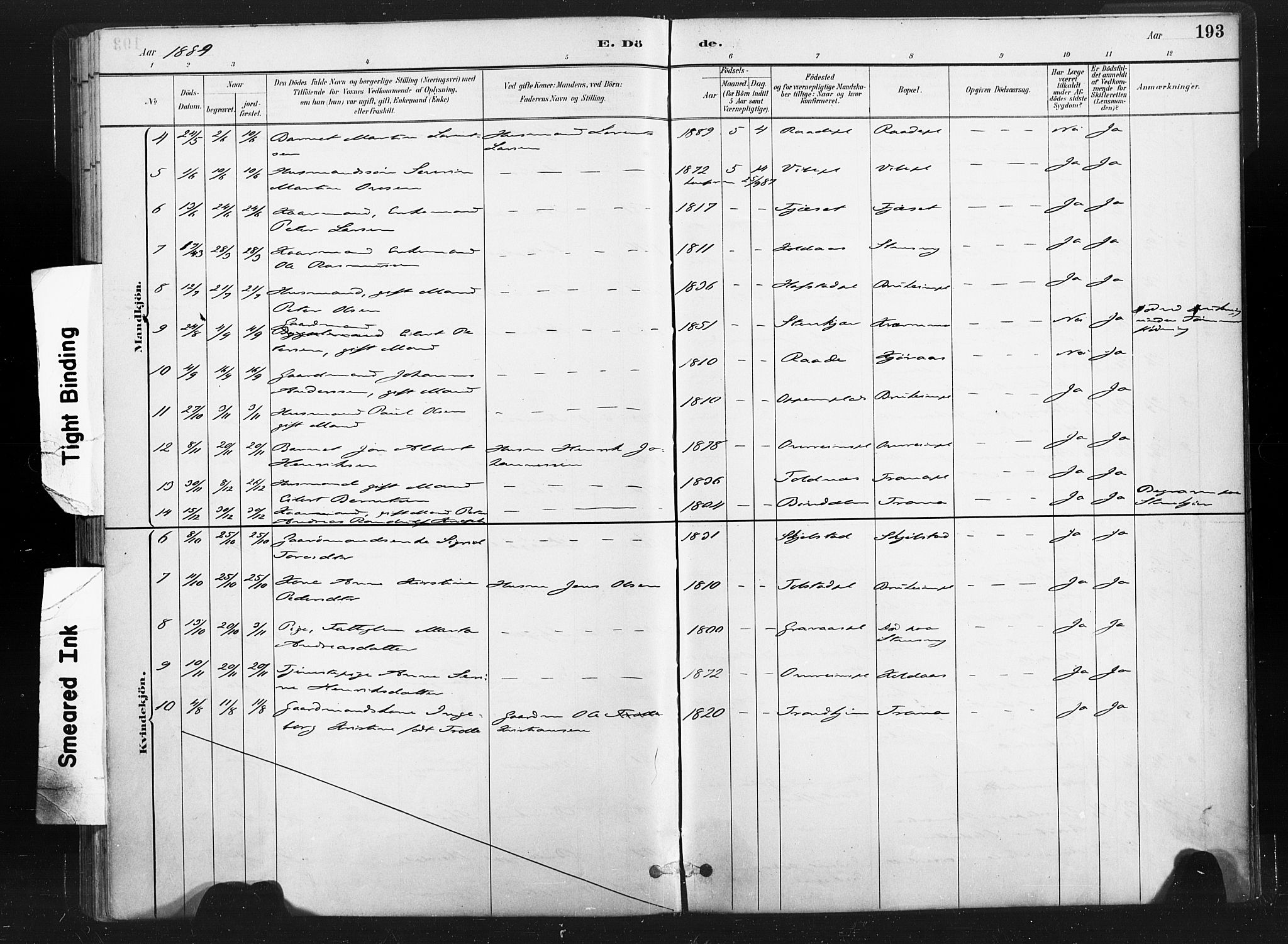 Ministerialprotokoller, klokkerbøker og fødselsregistre - Nord-Trøndelag, SAT/A-1458/736/L0361: Ministerialbok nr. 736A01, 1884-1906, s. 193