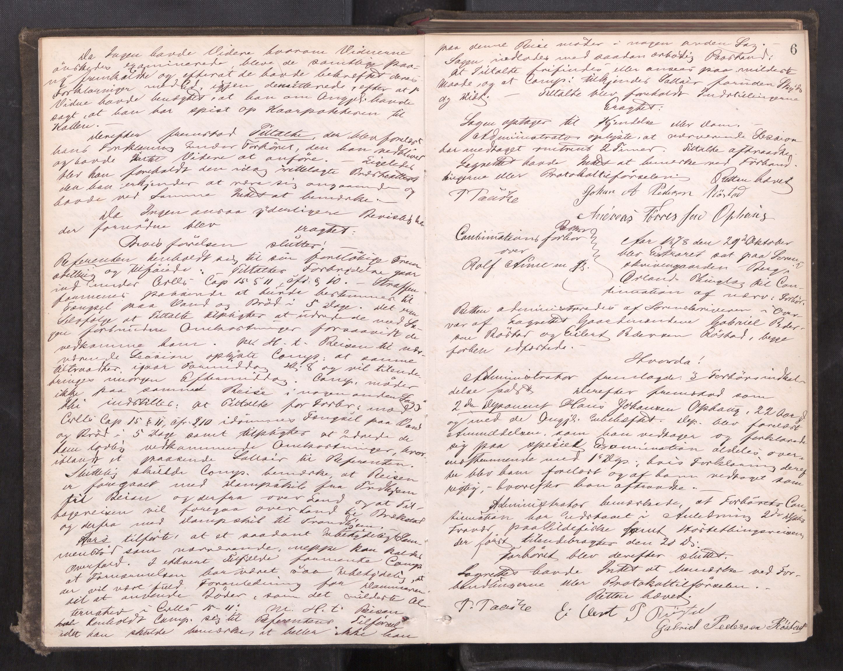 Fosen sorenskriveri, AV/SAT-A-1107/1/1/1B/L0023: Ekstrarettsprotokoll, 1878-1881, s. 5b-6a