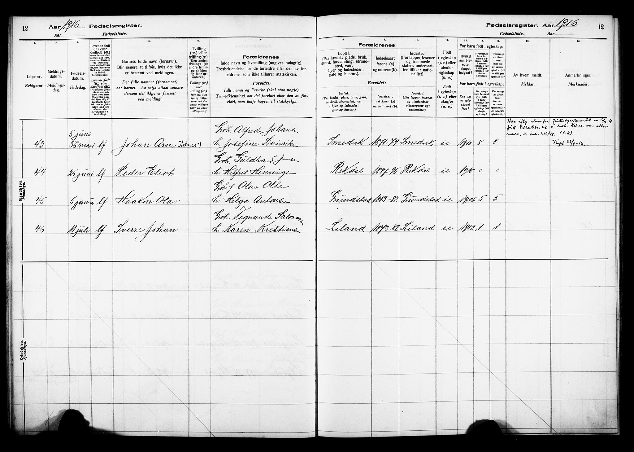 Ministerialprotokoller, klokkerbøker og fødselsregistre - Nordland, AV/SAT-A-1459/880/L1145: Fødselsregister nr. 880.II.4.1, 1916-1929, s. 12