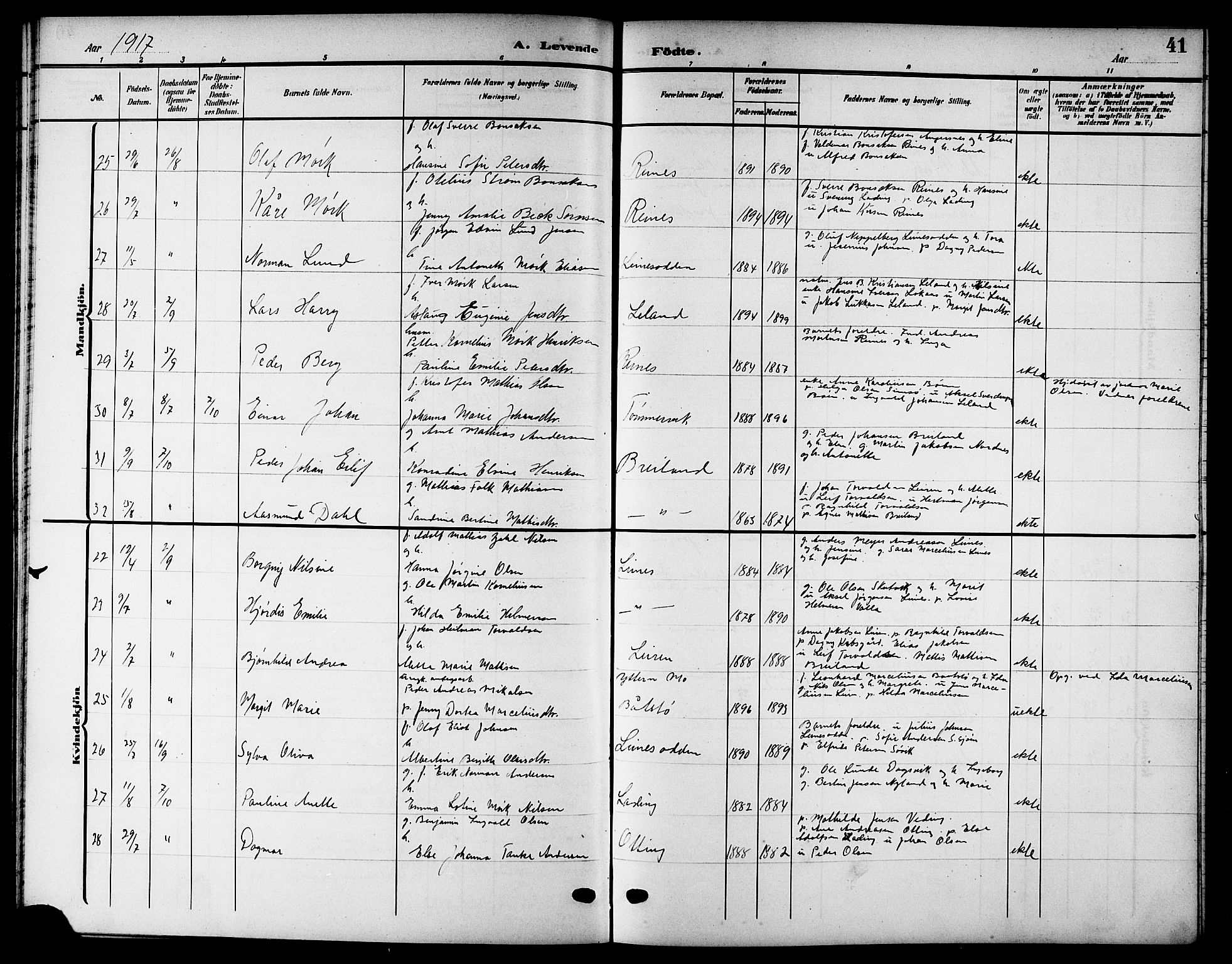 Ministerialprotokoller, klokkerbøker og fødselsregistre - Nordland, SAT/A-1459/832/L0494: Klokkerbok nr. 832C01, 1906-1922, s. 41