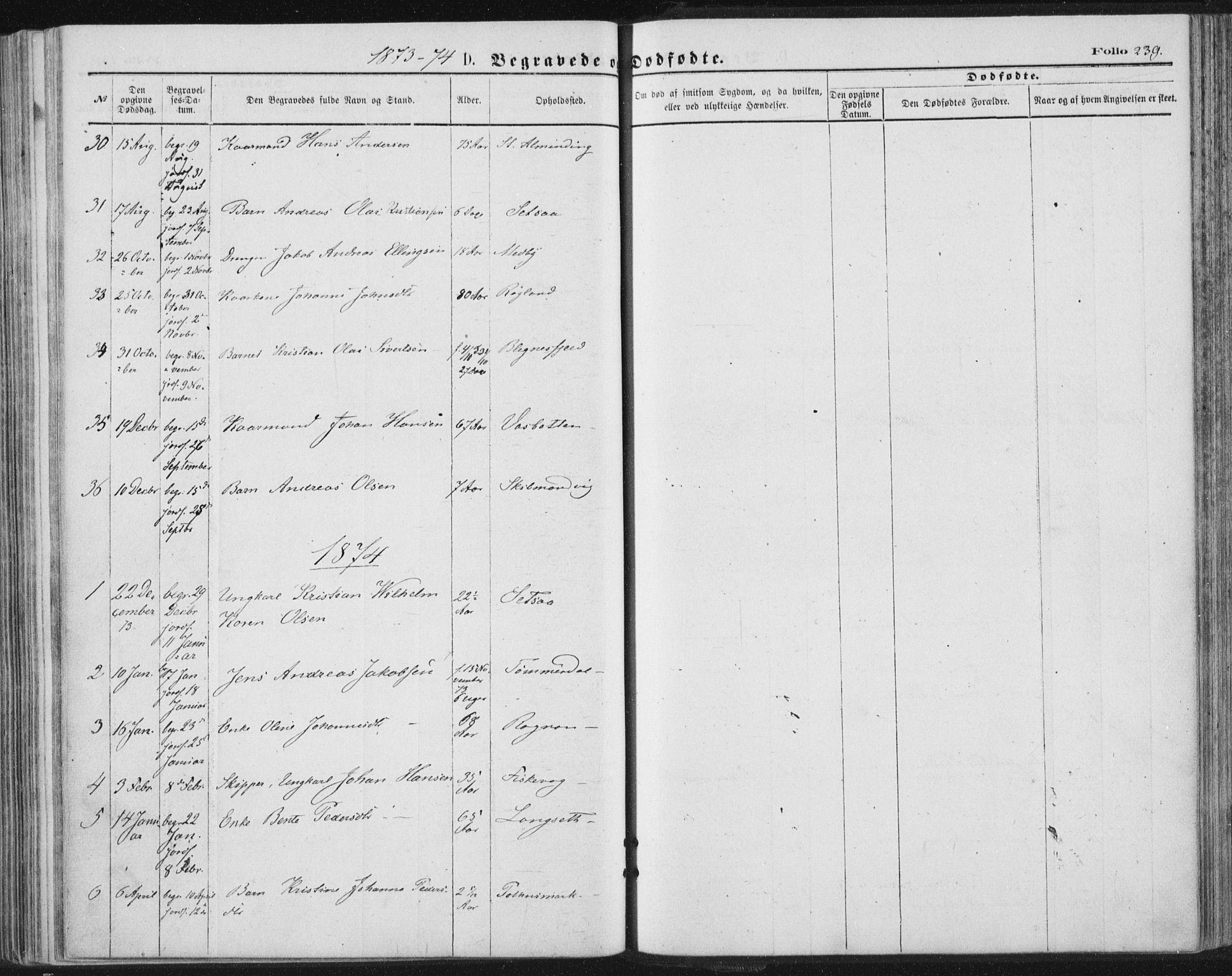 Ministerialprotokoller, klokkerbøker og fødselsregistre - Nordland, AV/SAT-A-1459/847/L0668: Ministerialbok nr. 847A08, 1872-1886, s. 239