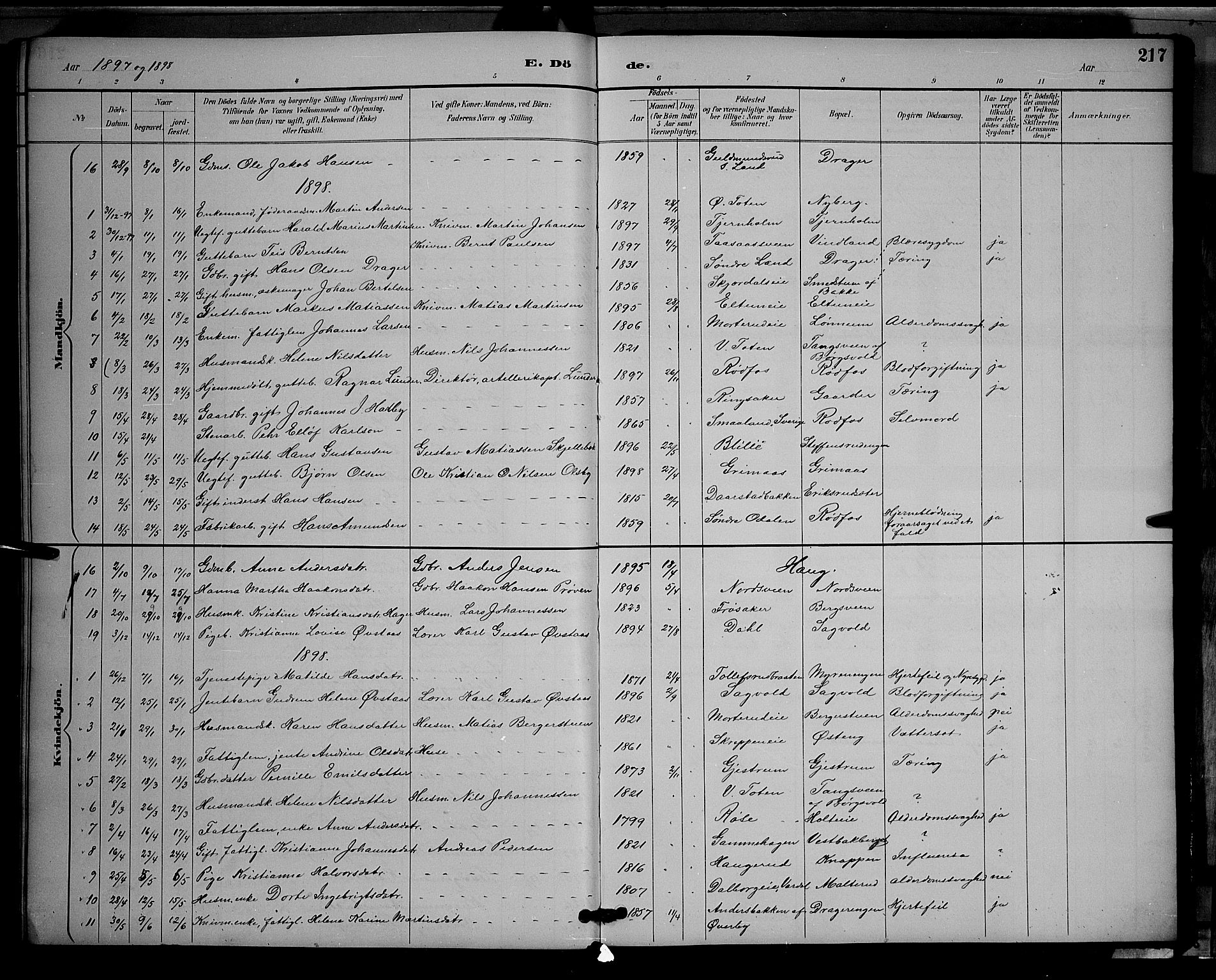 Vestre Toten prestekontor, AV/SAH-PREST-108/H/Ha/Hab/L0009: Klokkerbok nr. 9, 1888-1900, s. 217