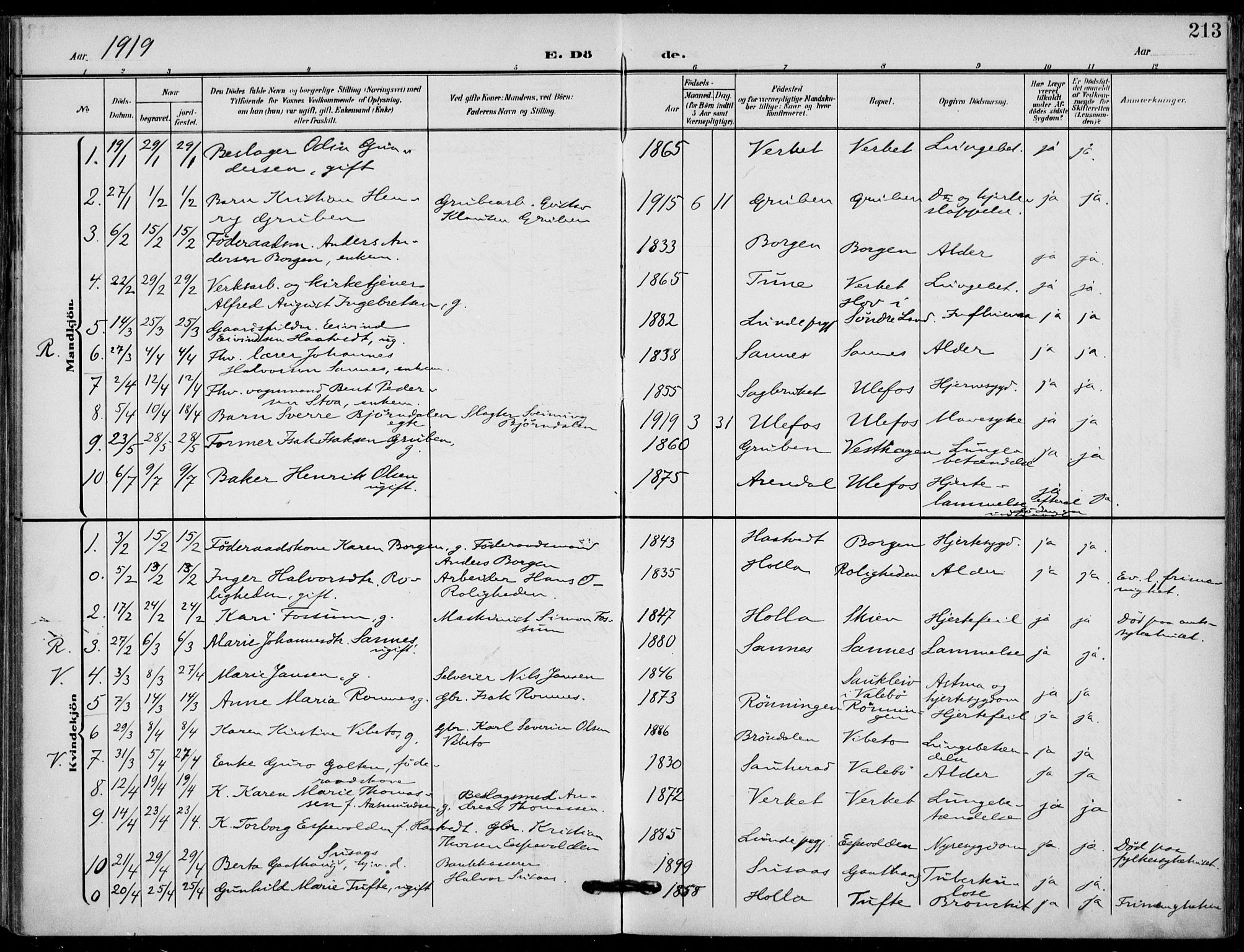 Holla kirkebøker, AV/SAKO-A-272/F/Fa/L0012: Ministerialbok nr. 12, 1907-1923, s. 213