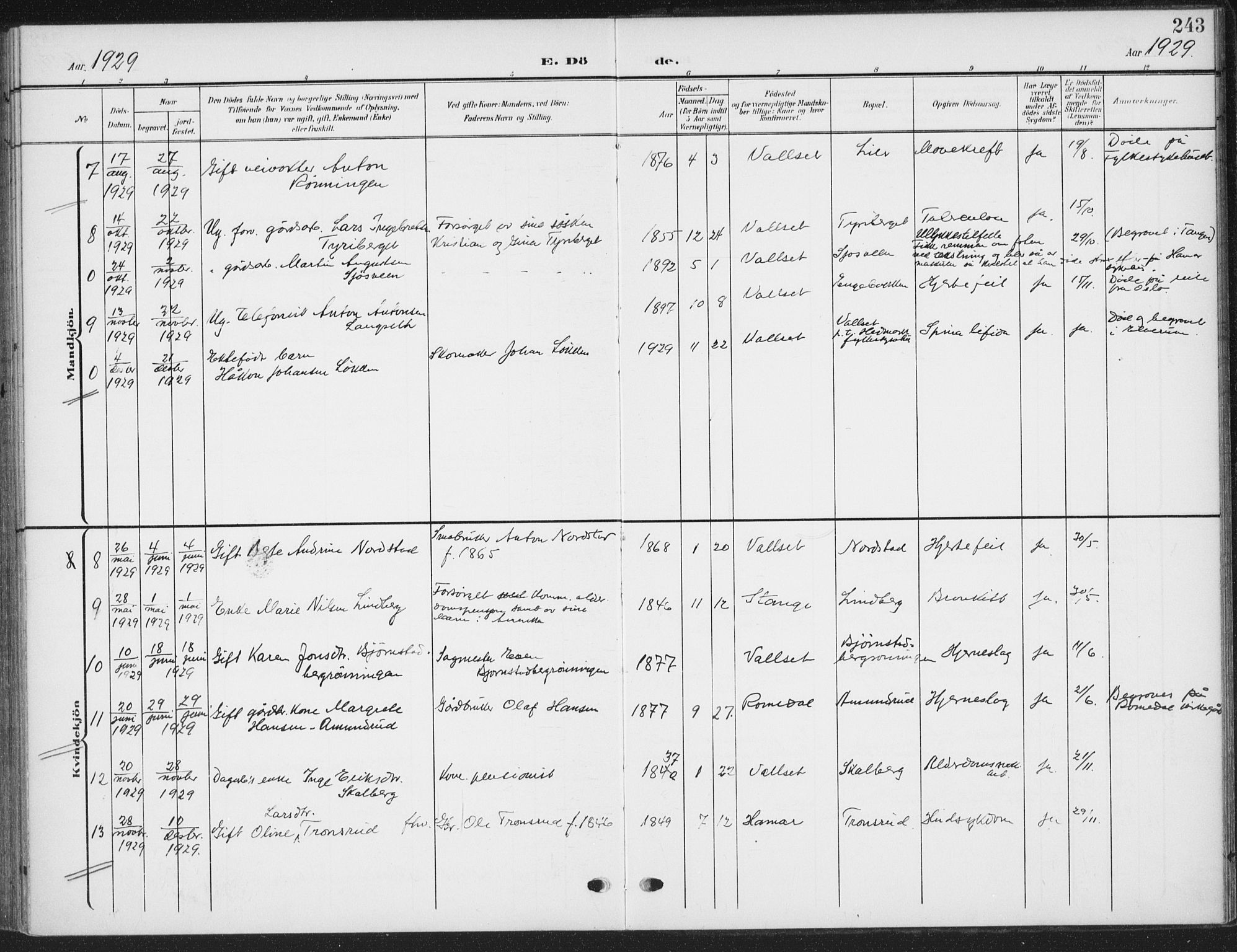 Romedal prestekontor, AV/SAH-PREST-004/K/L0009: Ministerialbok nr. 9, 1906-1929, s. 243