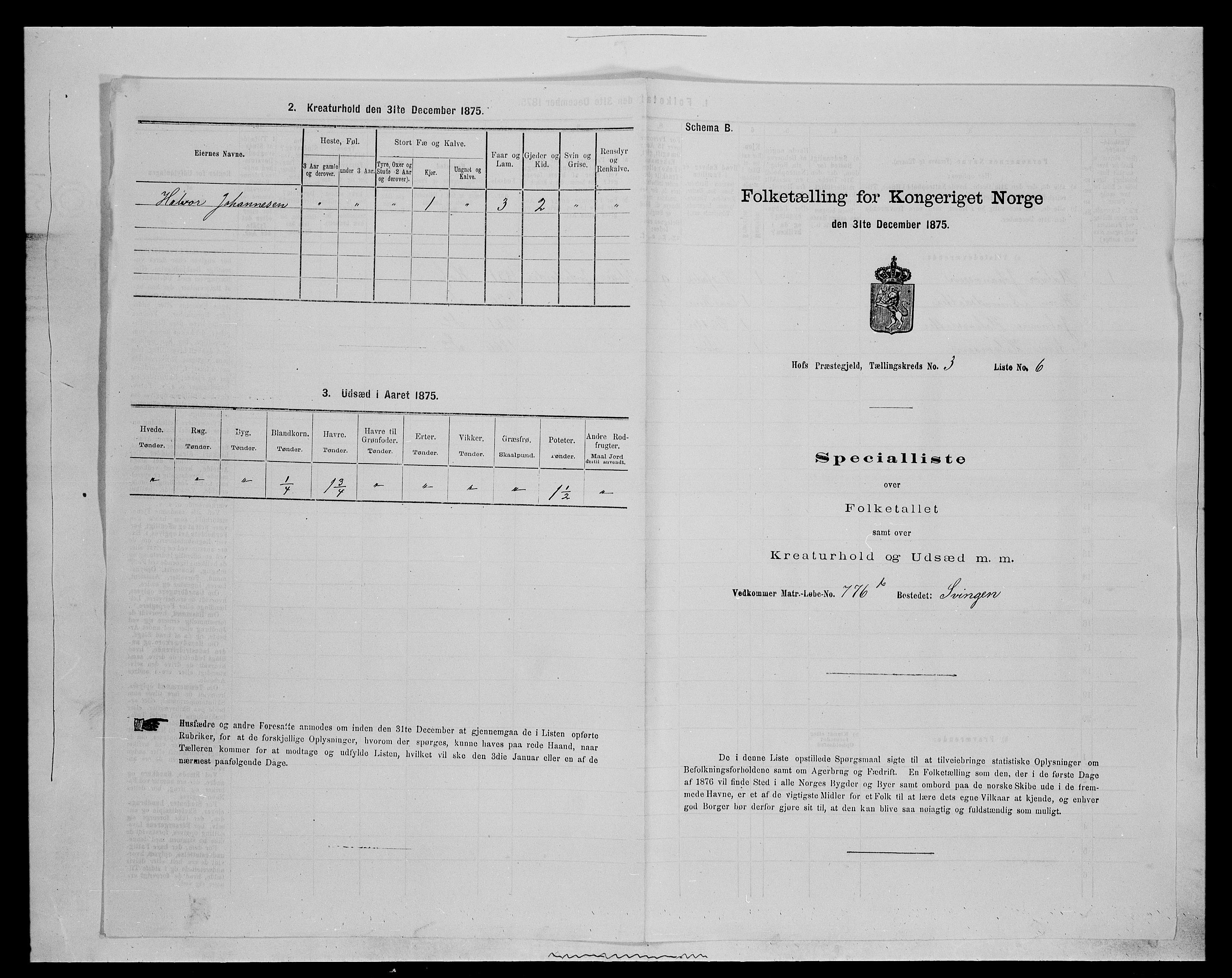 SAH, Folketelling 1875 for 0424P Hof prestegjeld, 1875, s. 493