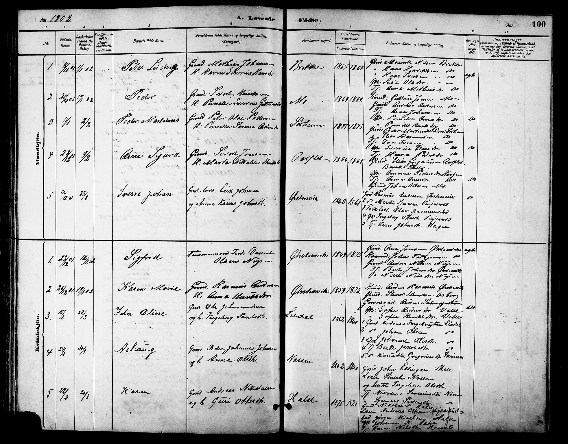 Ministerialprotokoller, klokkerbøker og fødselsregistre - Møre og Romsdal, AV/SAT-A-1454/513/L0189: Klokkerbok nr. 513C03, 1883-1904, s. 100